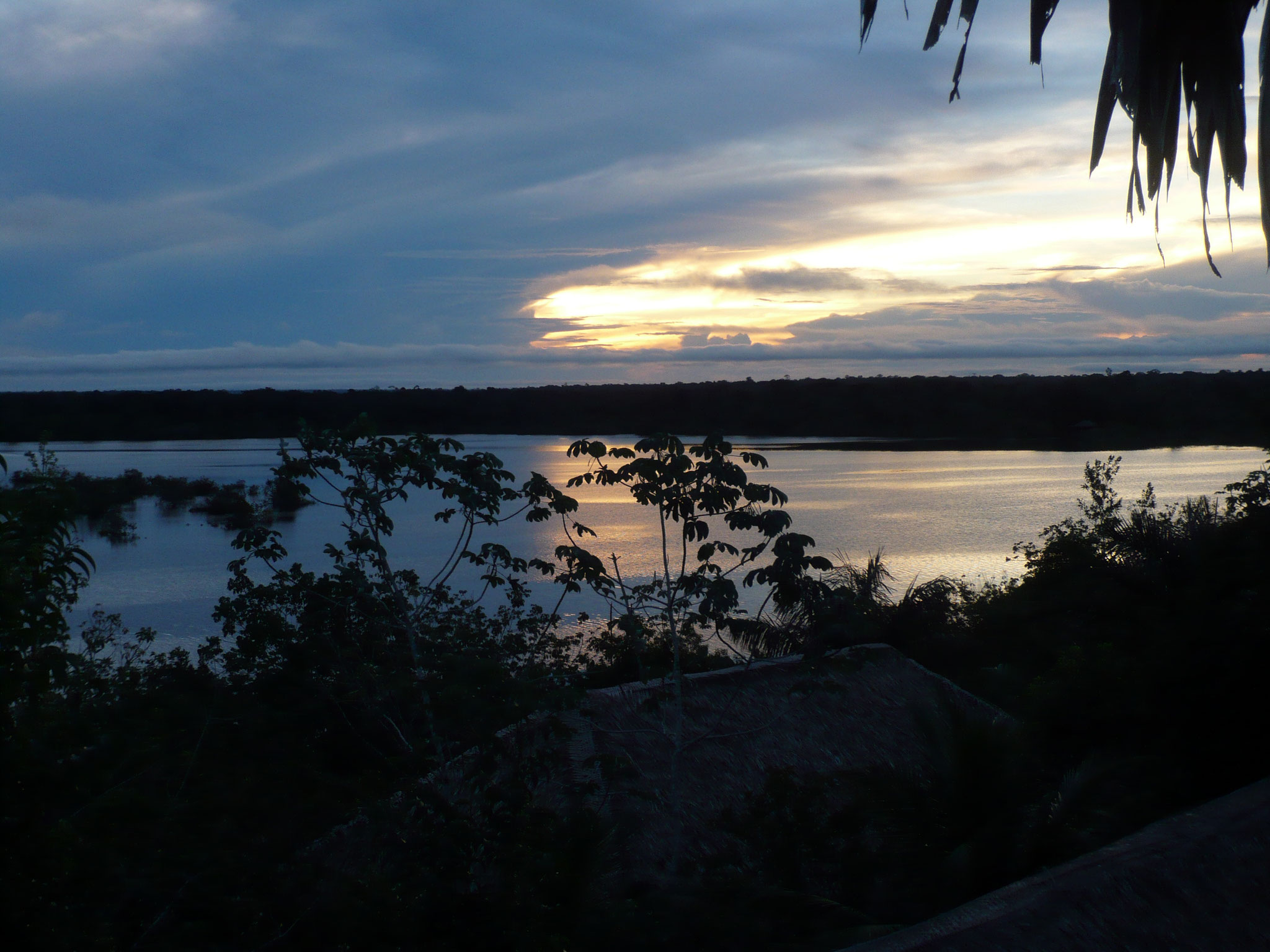 Sonnenuntergang im Amazonas