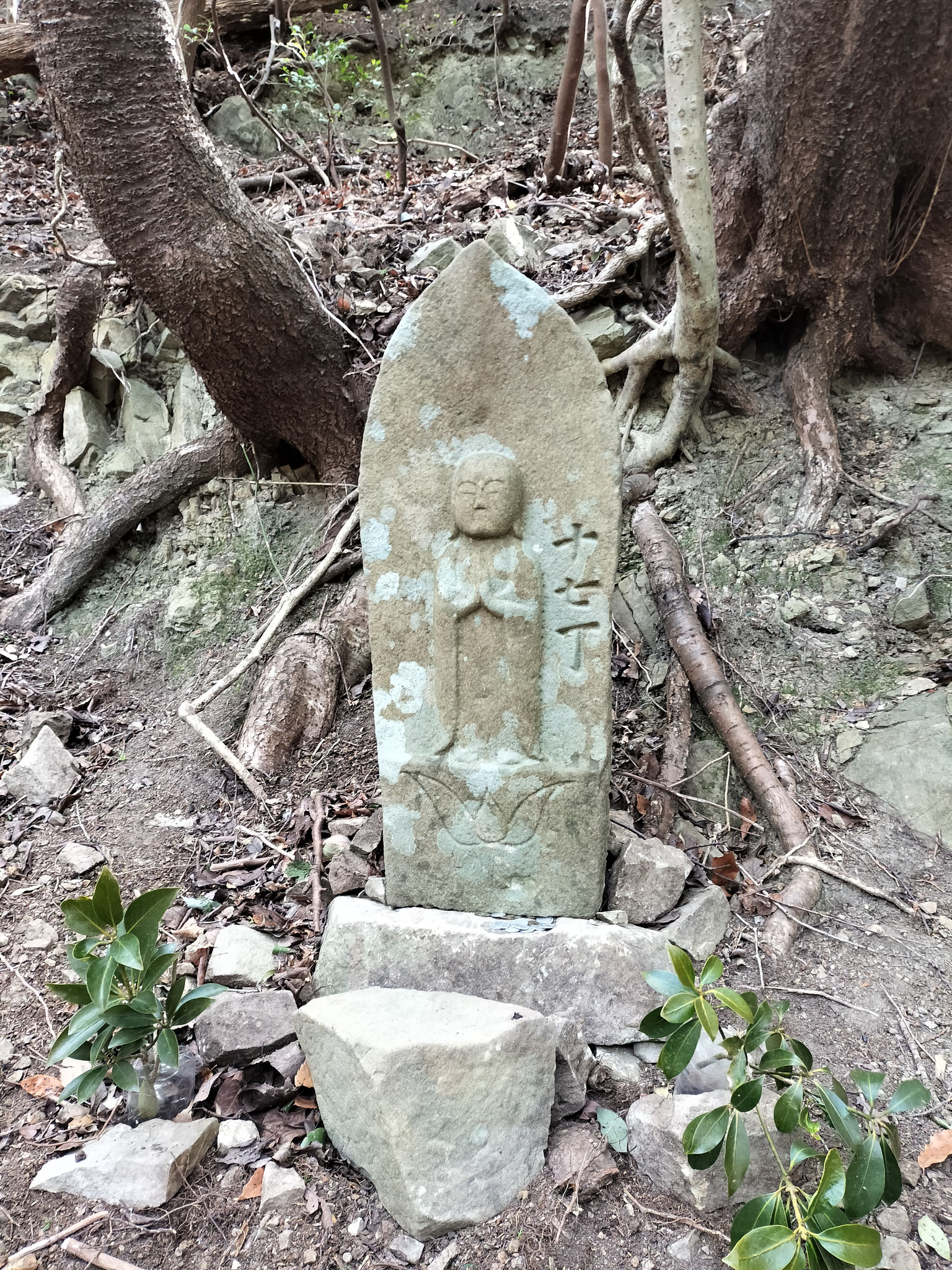 淡路島　諭鶴羽古道