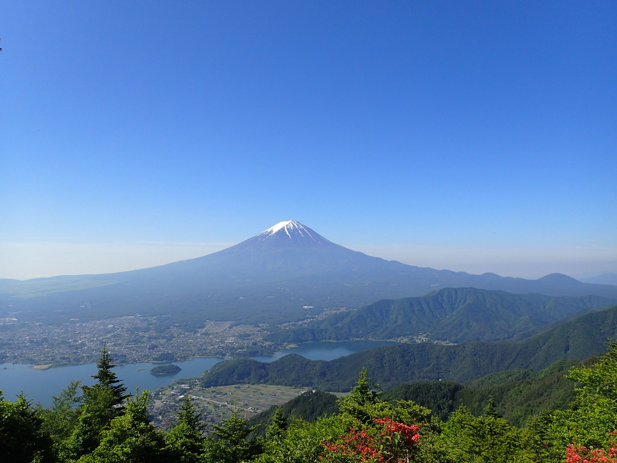 ５月　富士山麓　　御坂山塊の森林浴トレイルからの絶景富士山