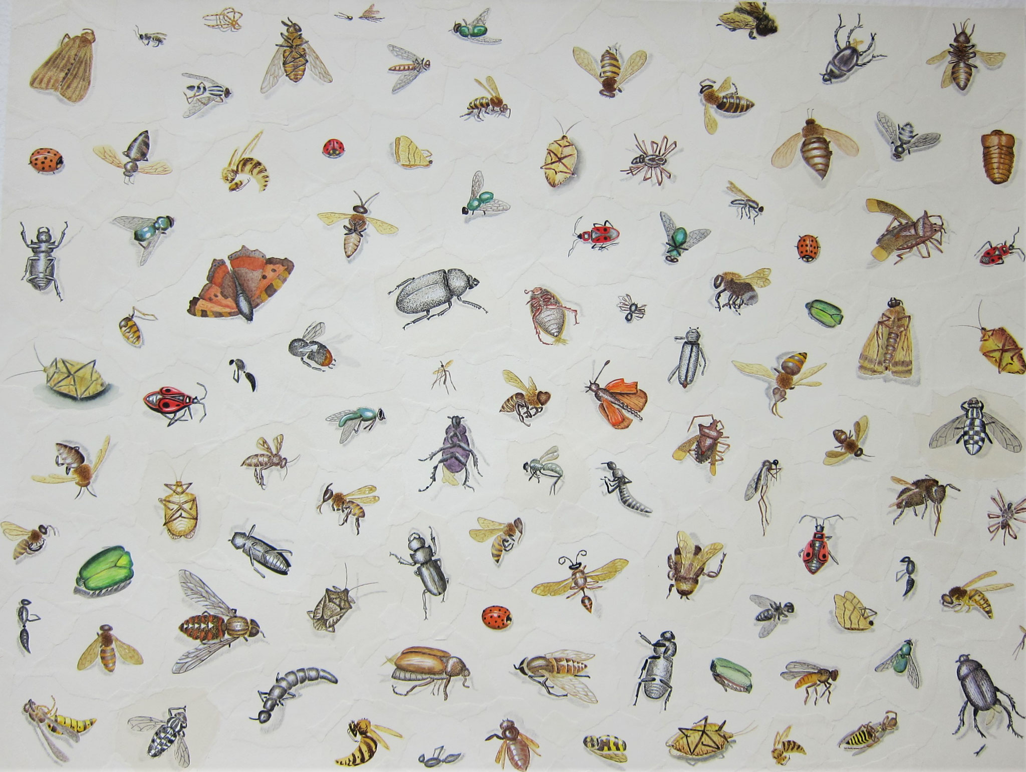 Kleine Wesen (Gesamtansicht); Aquarell, Tusche und Bleistift auf Papier; Montage aus 101 Einzelzeichnungen toter Insekten; 60 x 80 cm, 2021