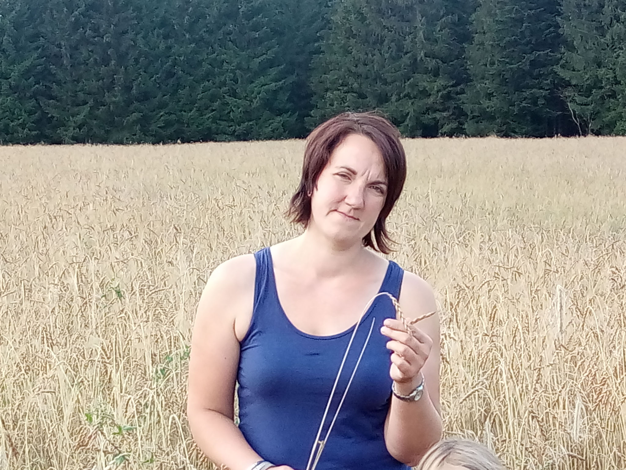 Reifekontrolle Dinkelfeld