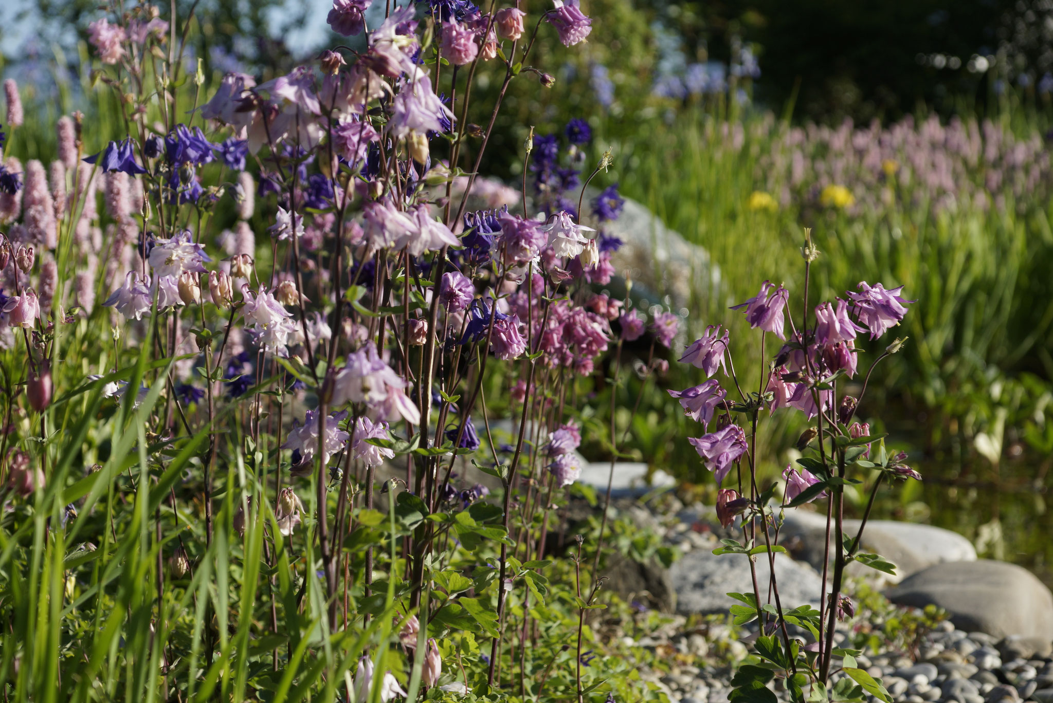 60+ Wilde Gartenanlagen Hagen, Sie besteht aus 189 gärten, die um