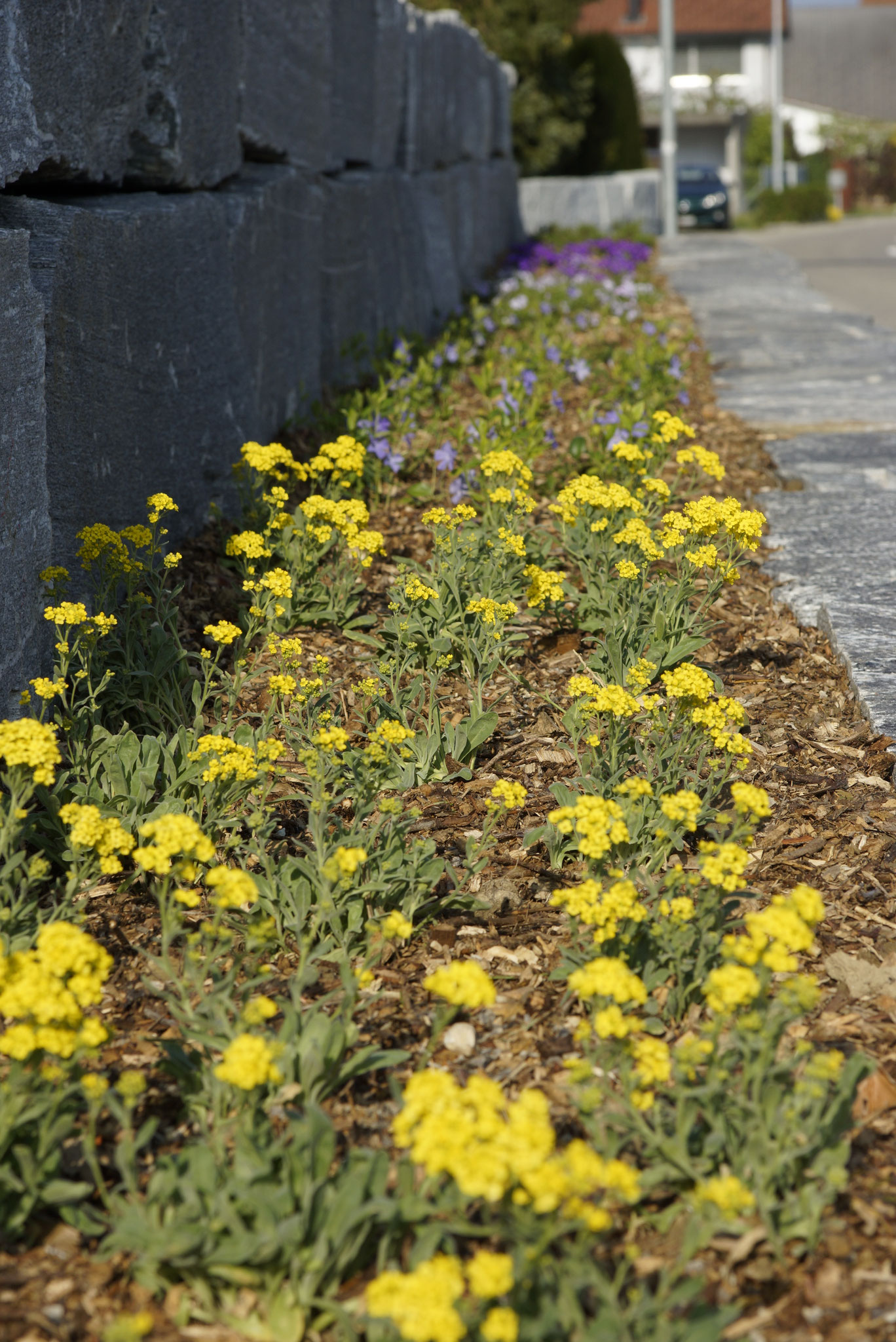 Gartenanlagen aus einer Hand Wild Gartenbau AG