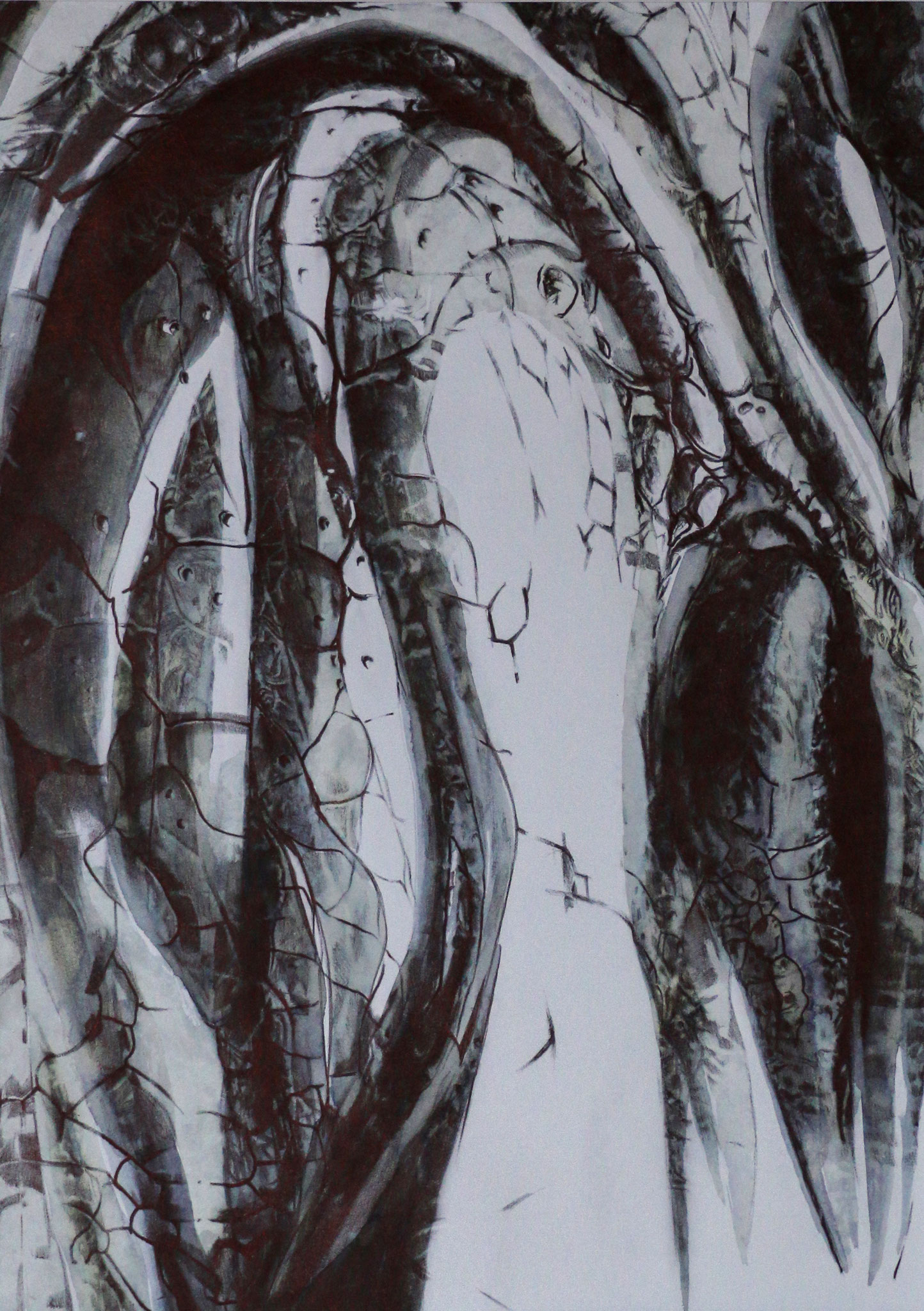 Struktur Krokodil, Tintenstrahl, Kugelschreiber, Tusche , 21 x 29,7 cm, 2018
