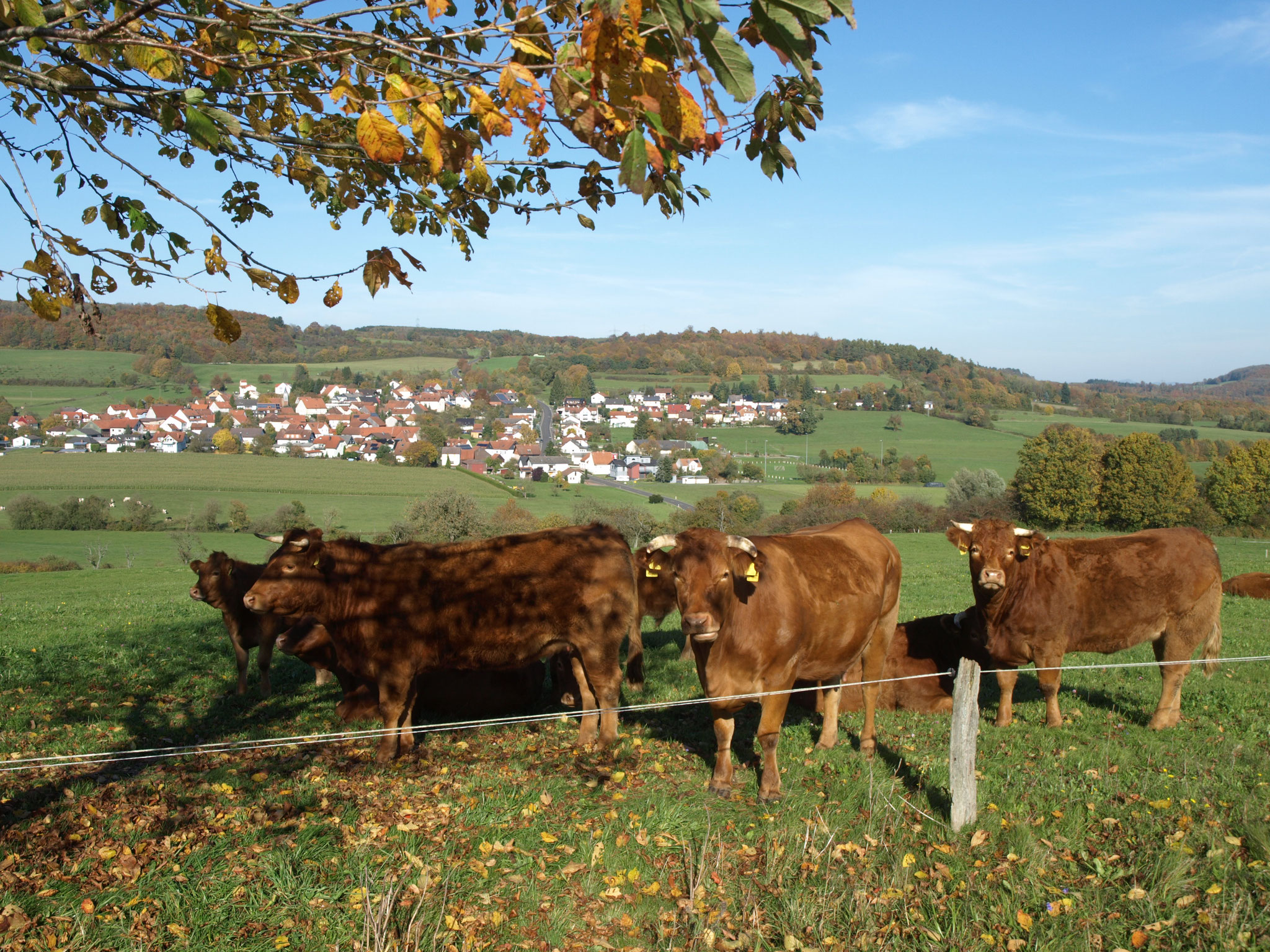 Herbst 2017
