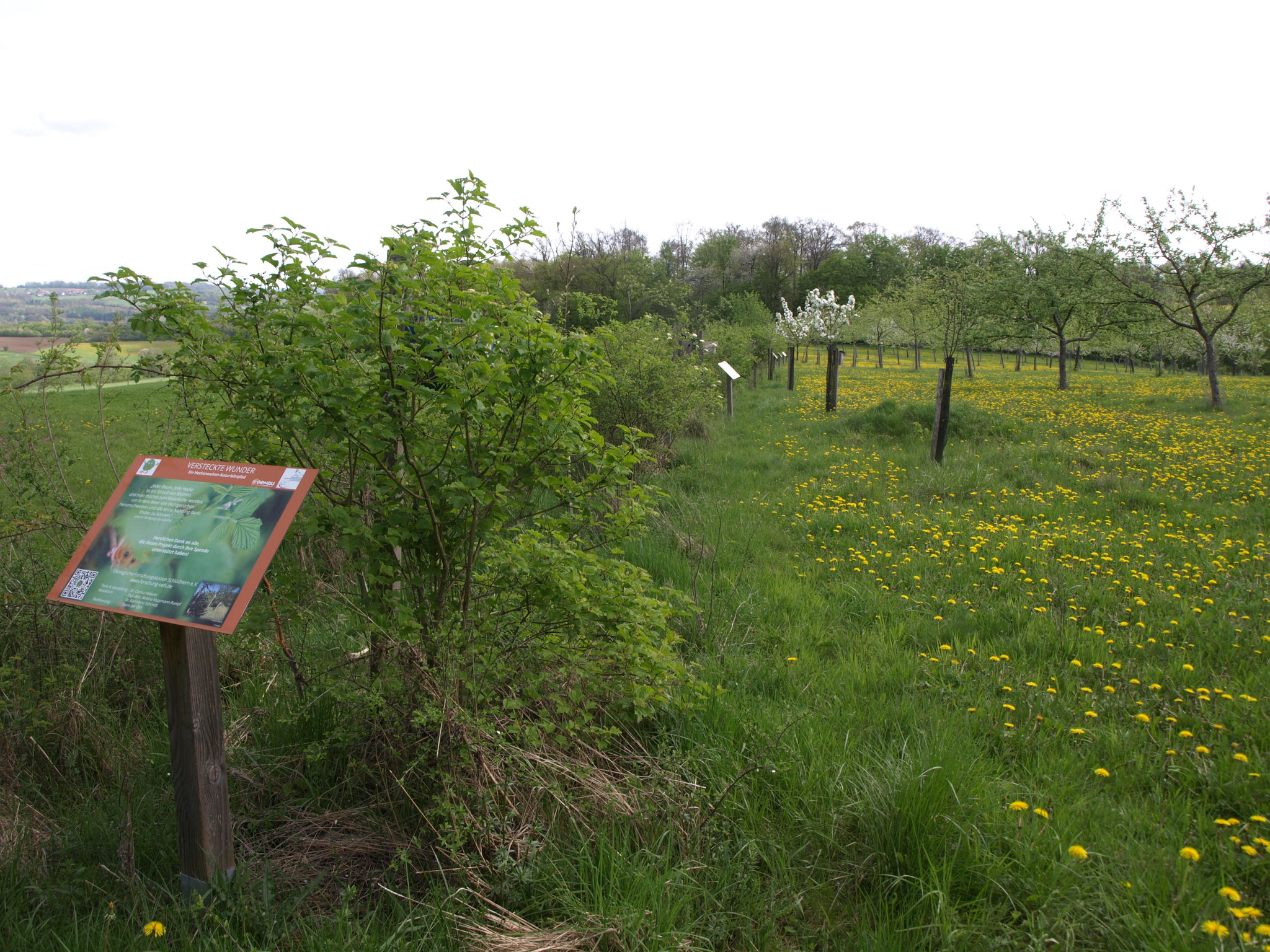 3 Naturlehrpfad versteckte Wunder