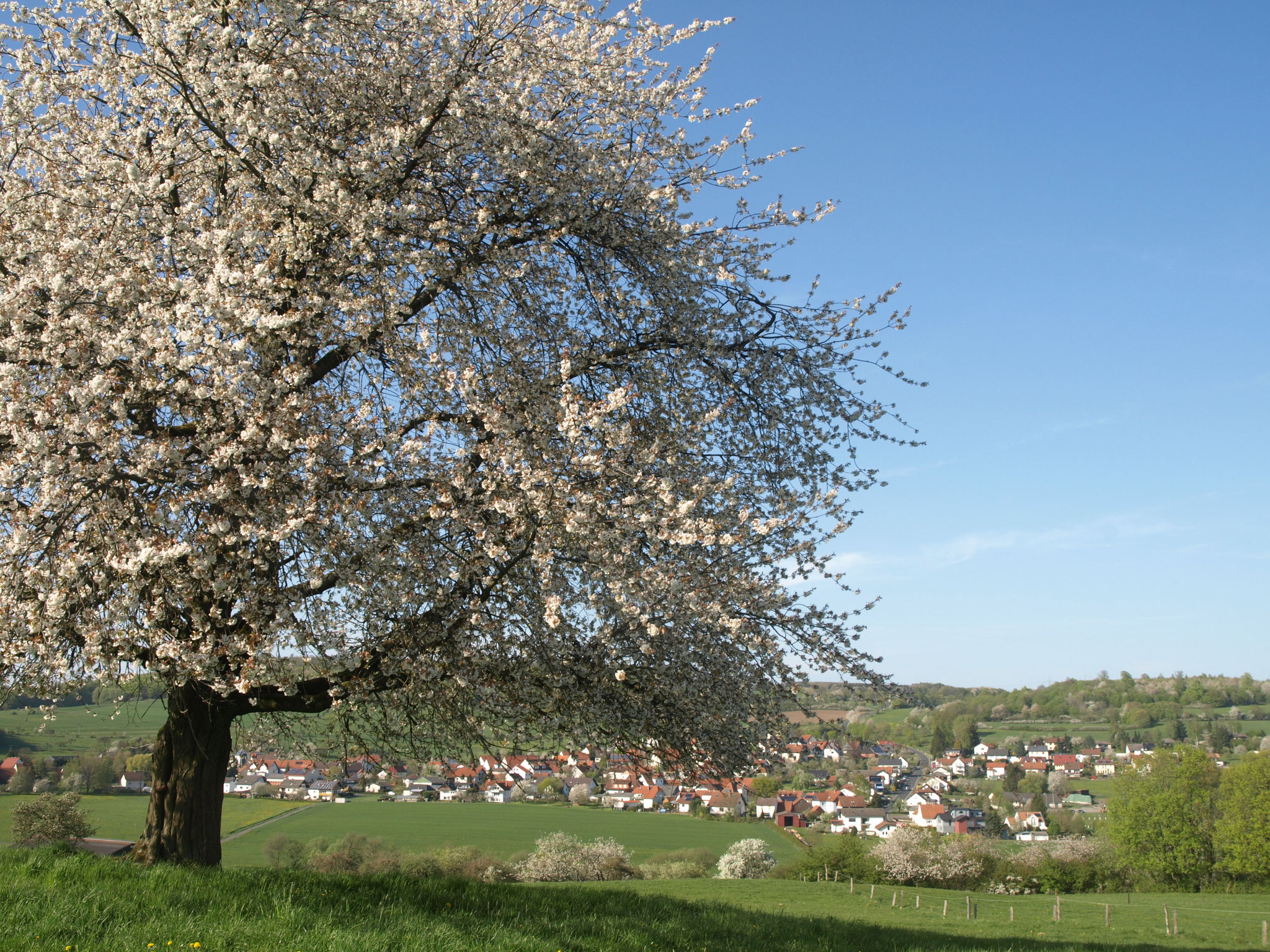 4 Dorfblick vom Melmetz