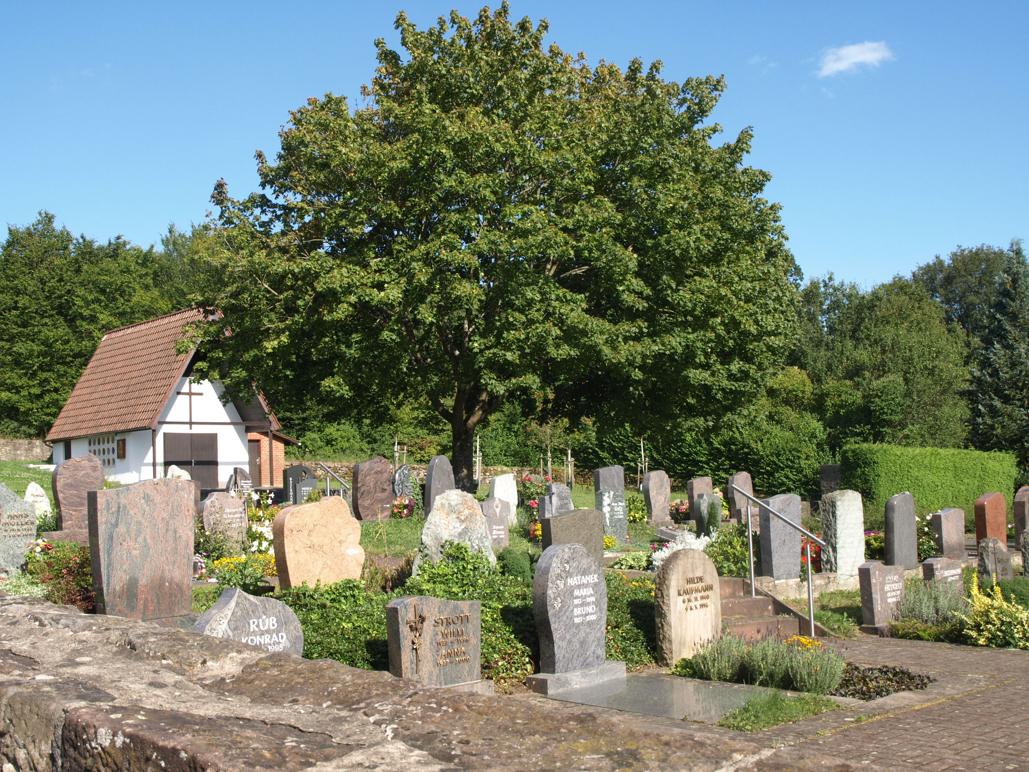 Friedhof