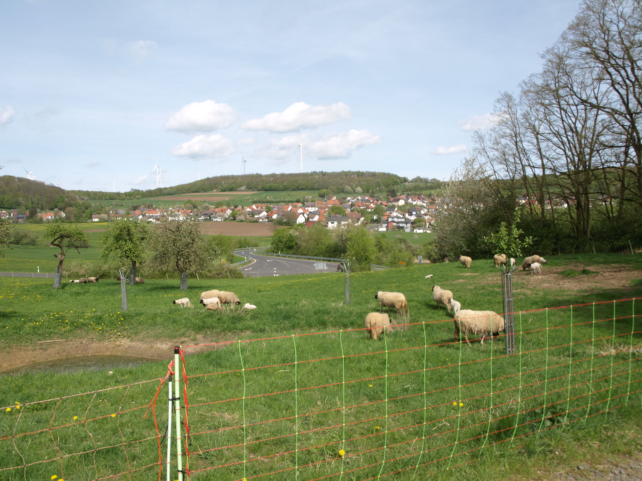 natürliche Landschaftspflege