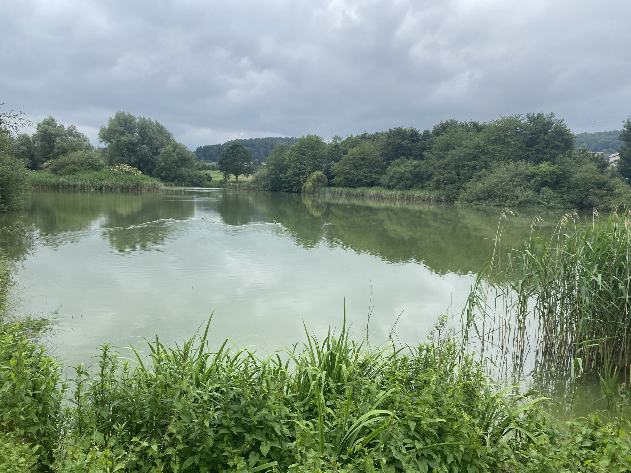 2 Breitenbacher Weiher