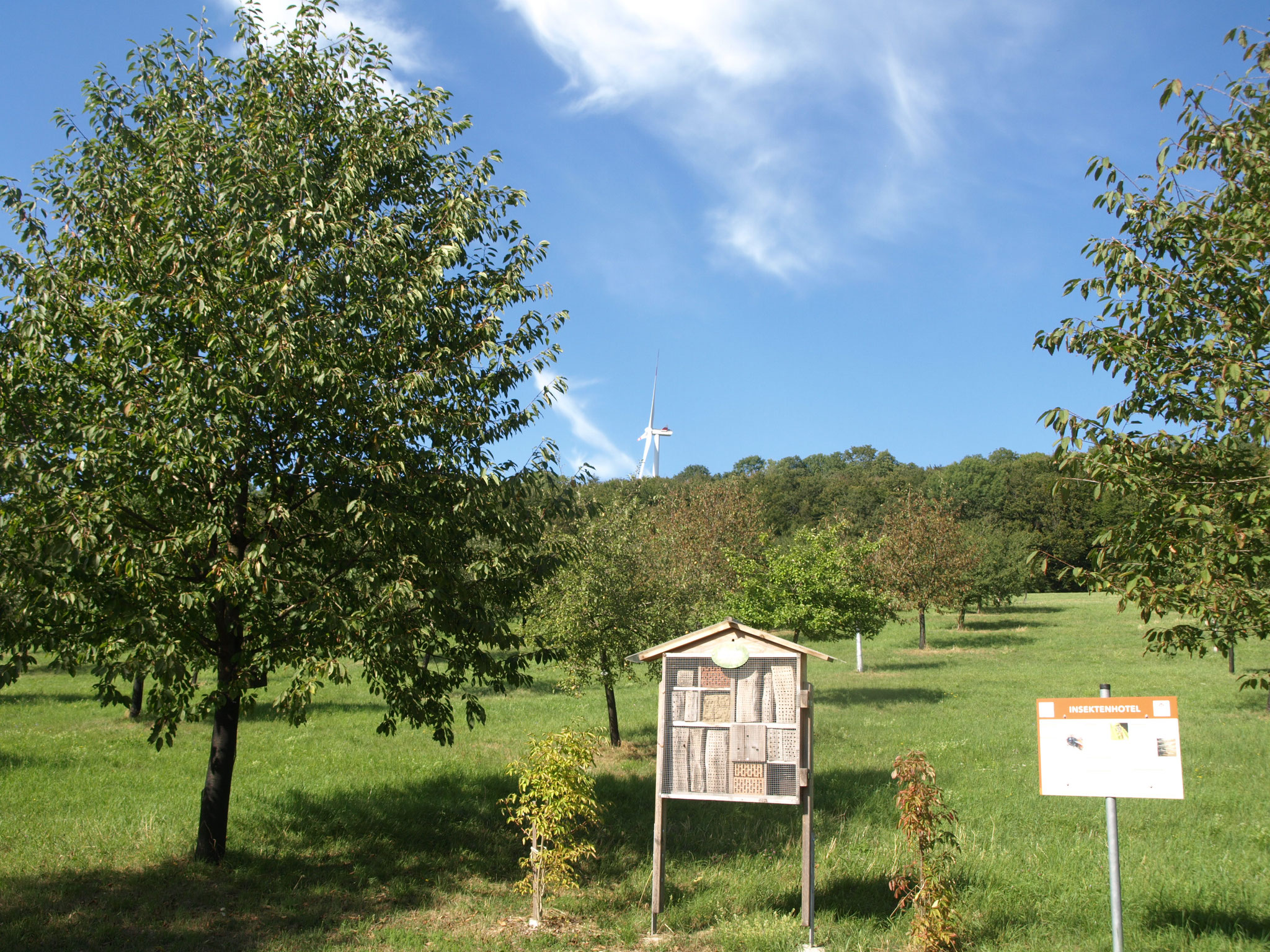 Streuobstwiesen