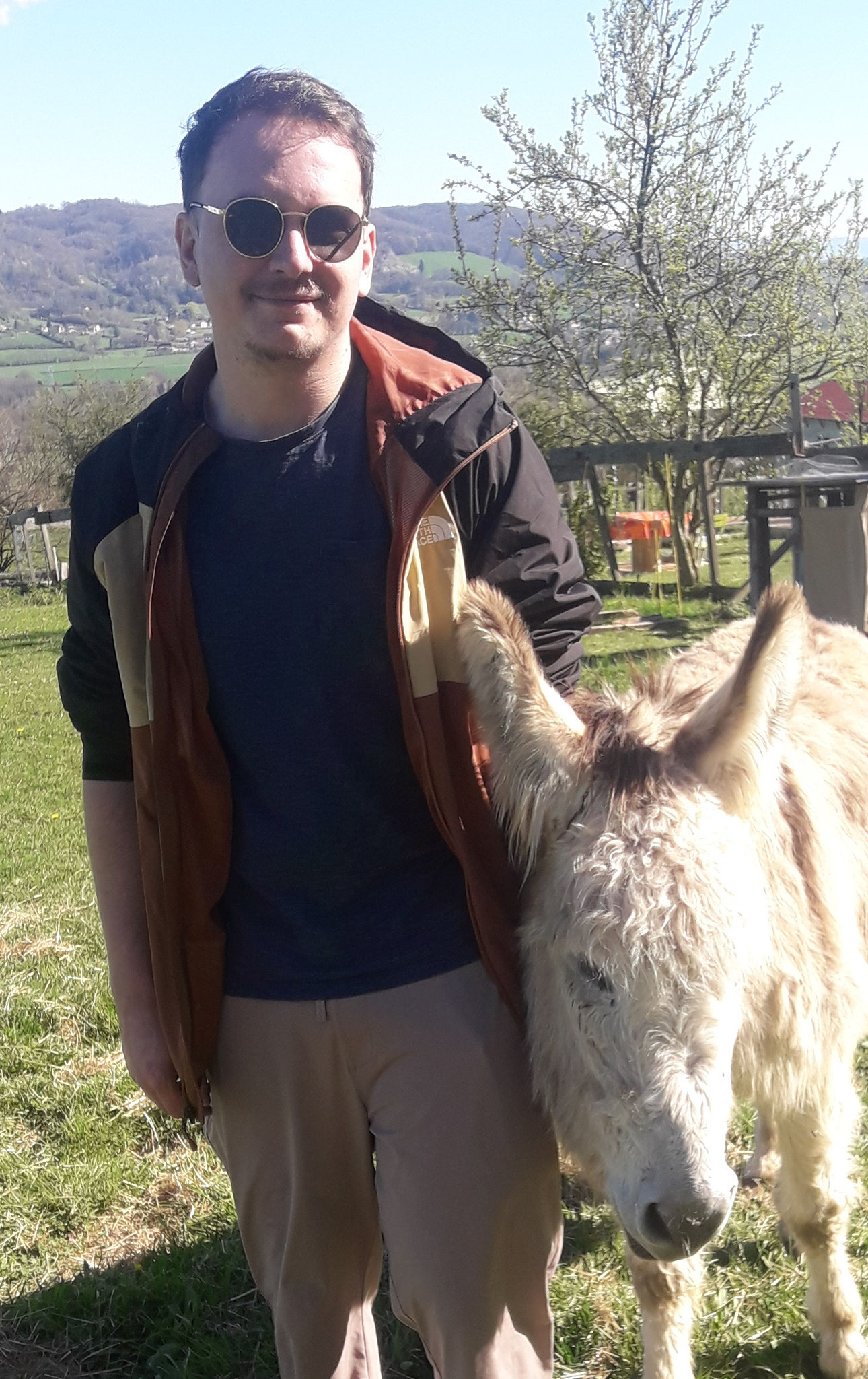 RENDRE VISITE AUX CHEVAUX