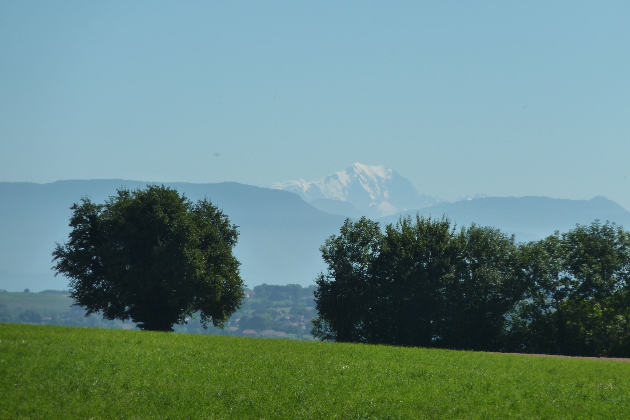 Vue sur le Mont Blanc