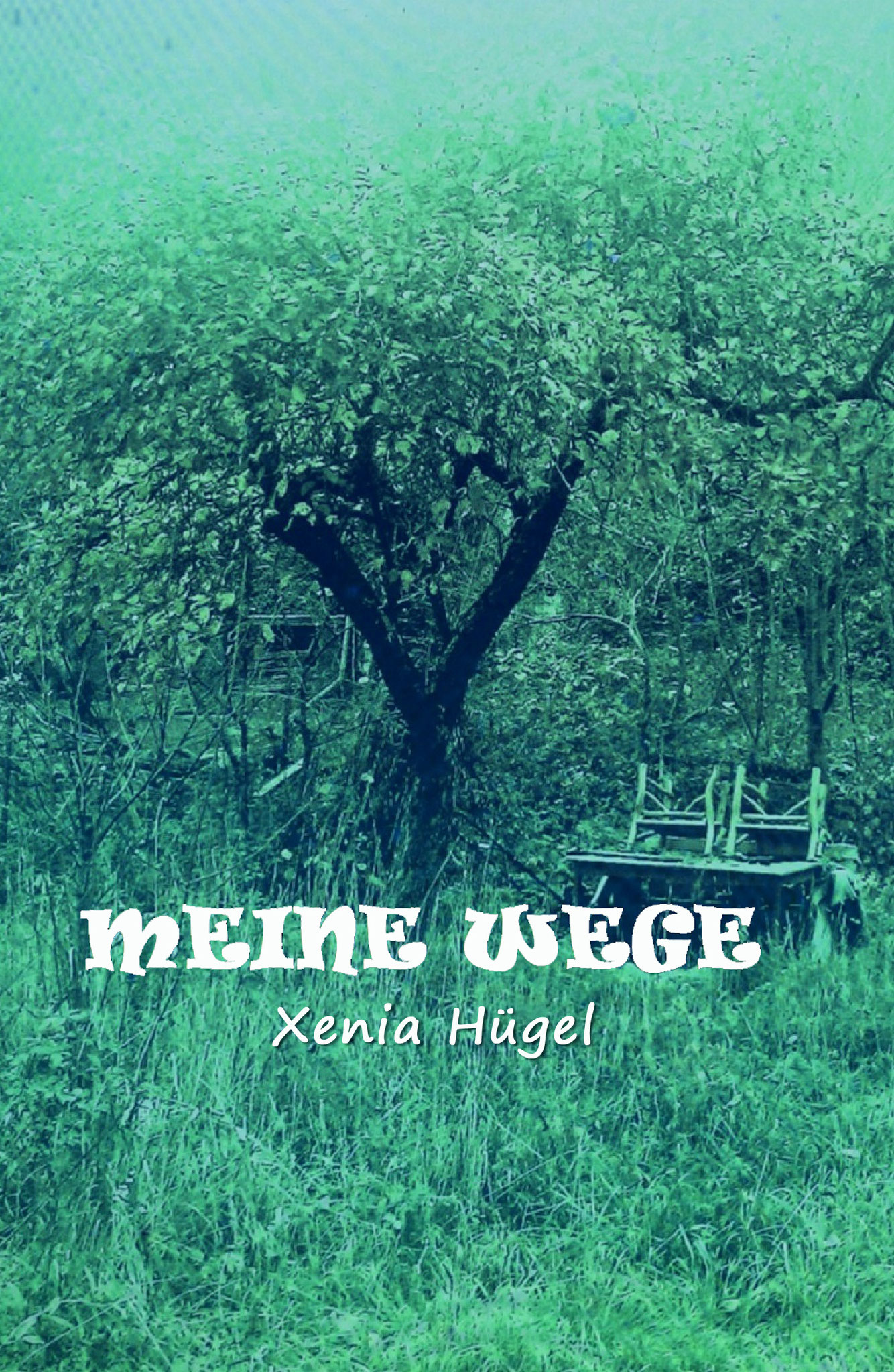 »Meine Wege», Lyrik von Xenia Hügel