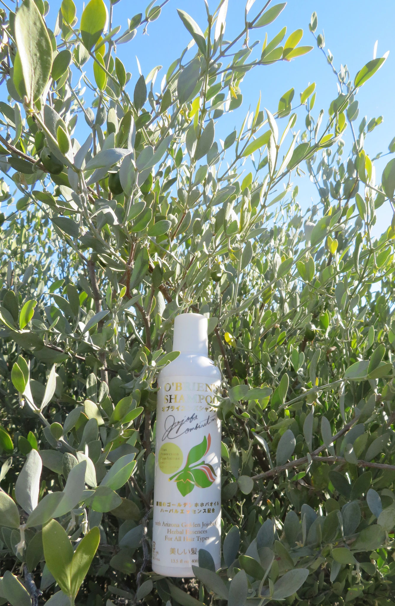 ♔ オブライエンズシャンプー O'BRIEN'S SHAMPOO