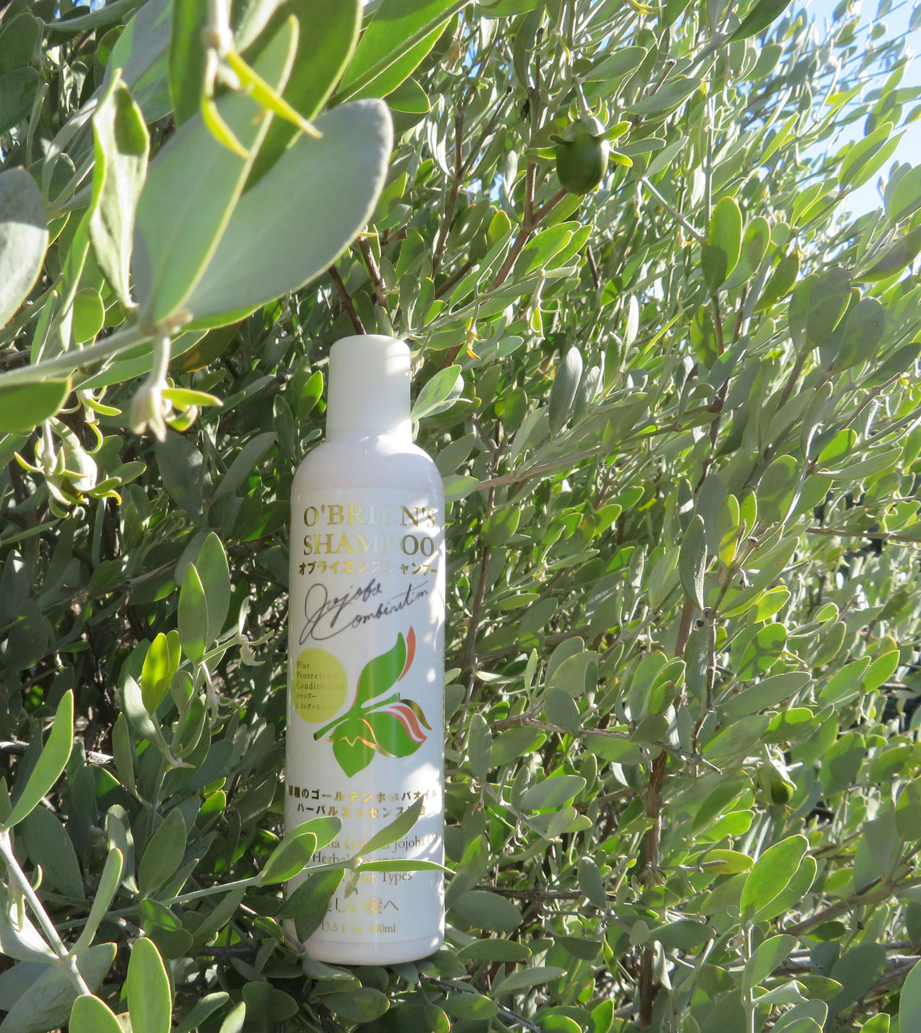 ♔ オブライエンズシャンプー O'BRIEN'S SHAMPOO