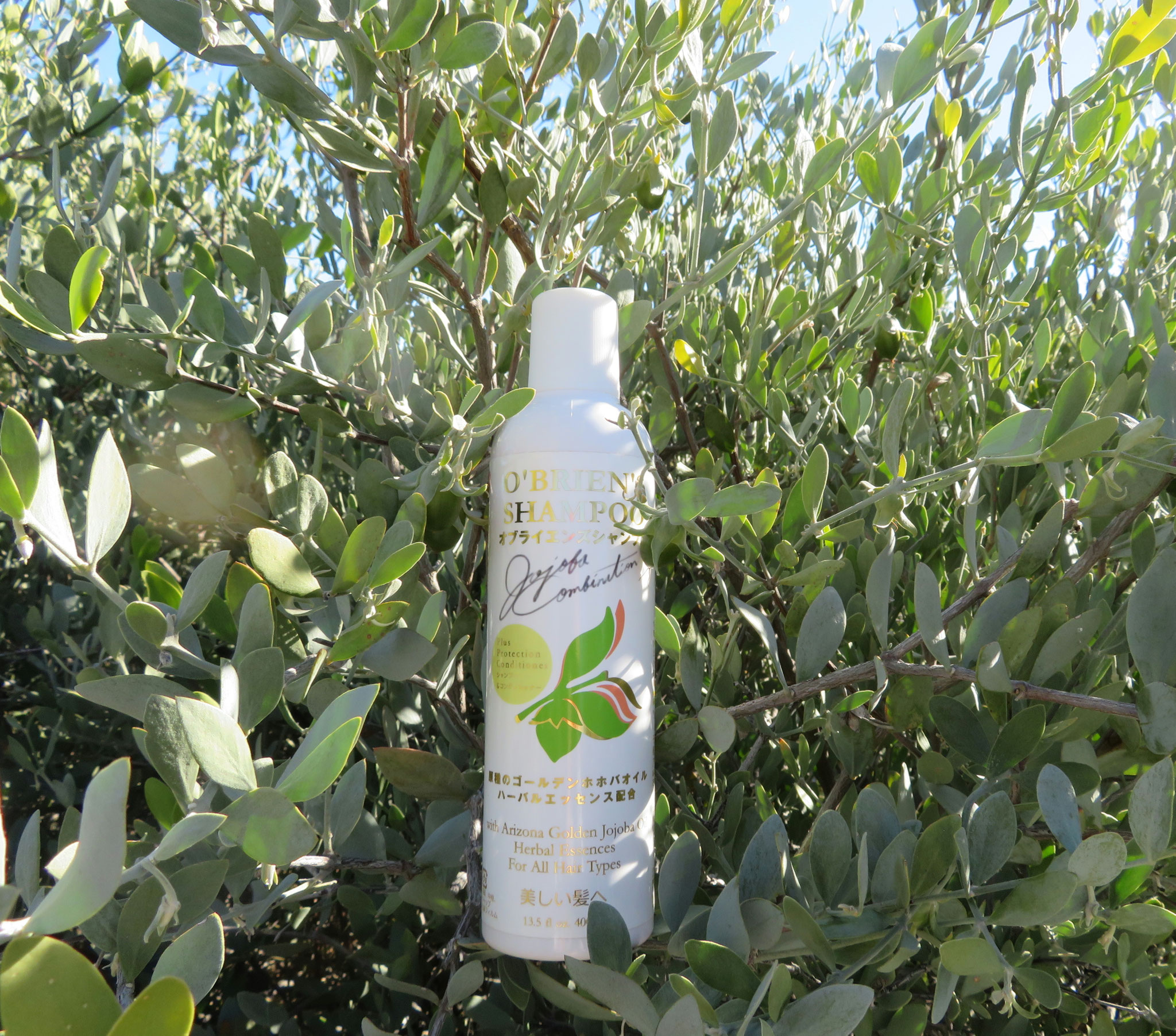 ♔ オブライエンズシャンプー O'BRIEN'S SHAMPOO