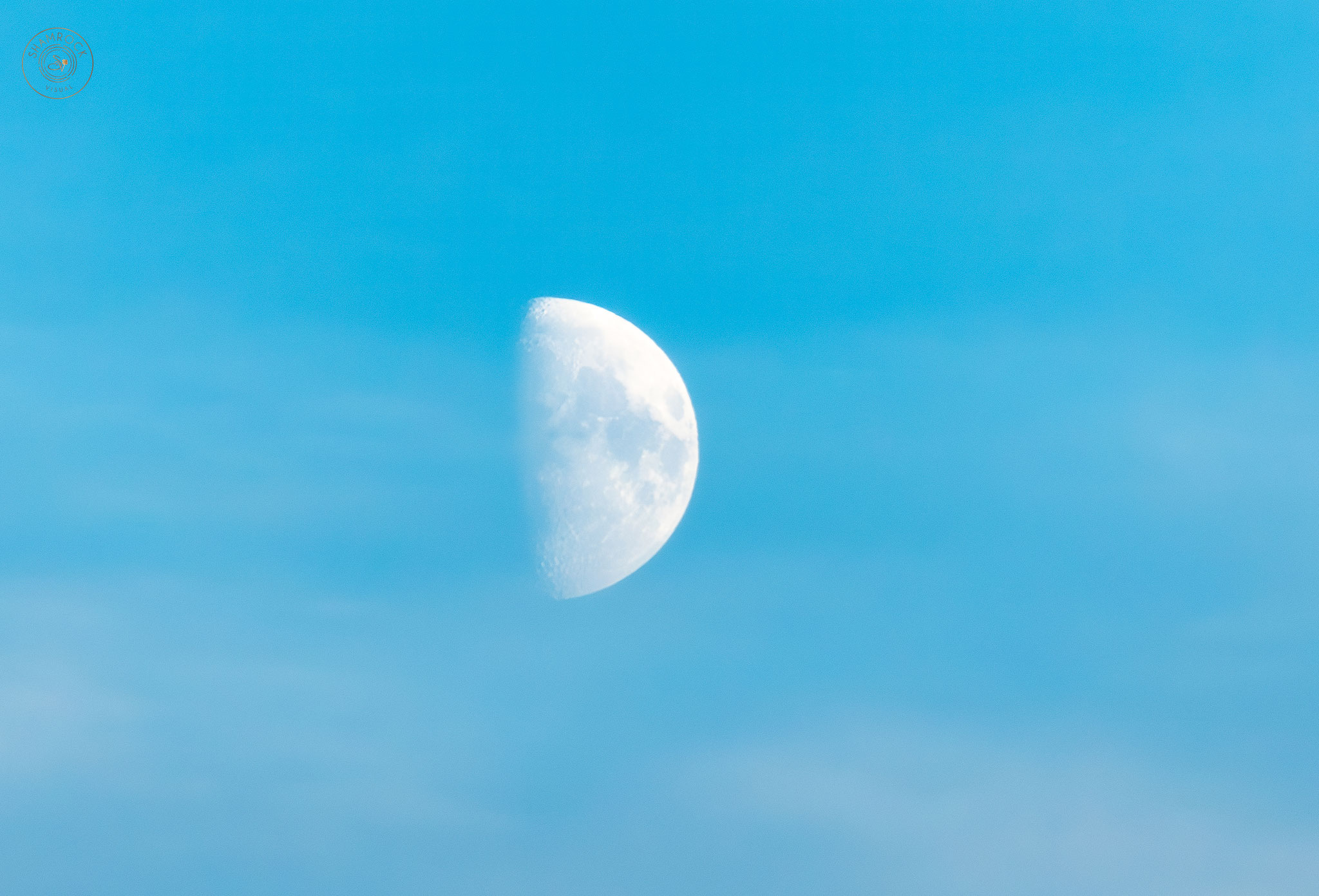 Half Day Moon, Germany