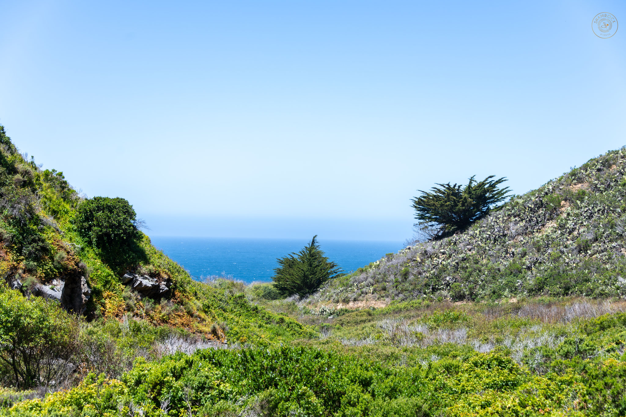 Hiking at Sobranes Park, Carmel CA, USA