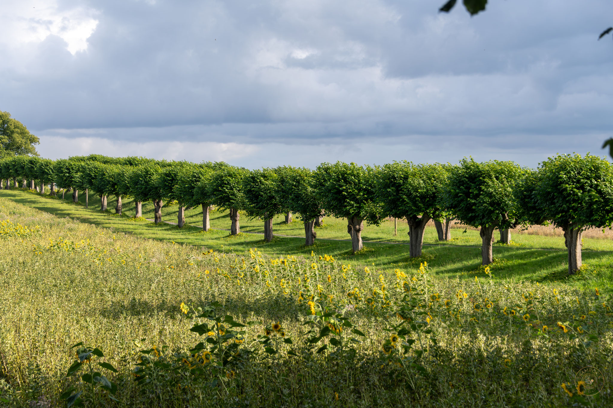 Nature Canopy - Schloss Bothmer, Germany