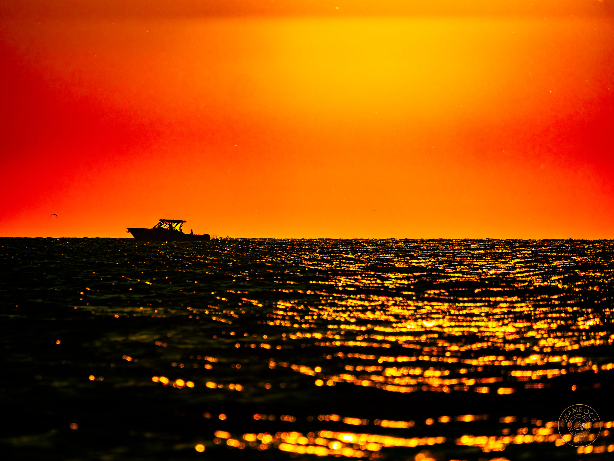 Sunset, Naples, FL  USA