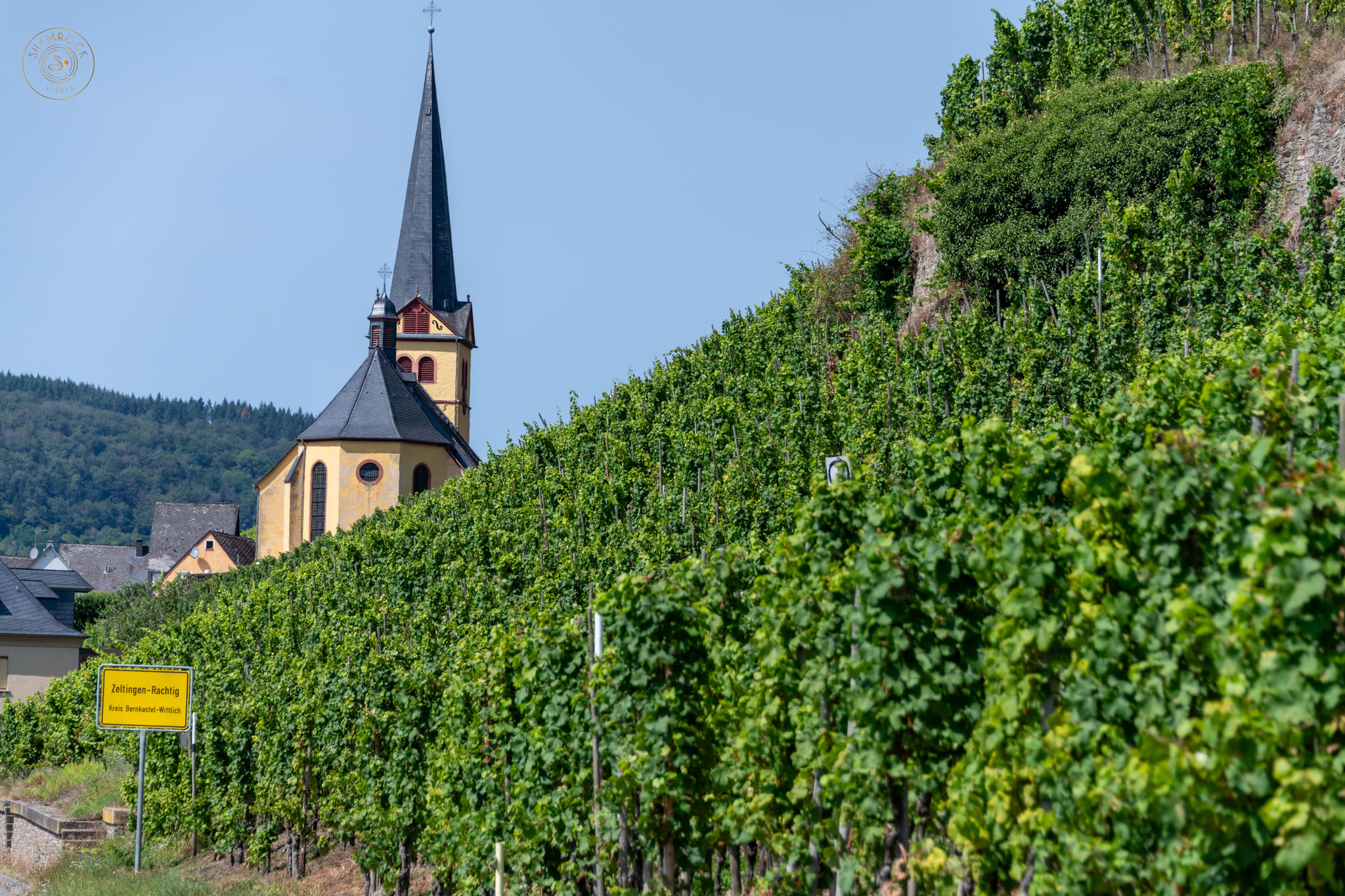 Sun dial vineyard, Zeltingen, Mosel Region, Germany