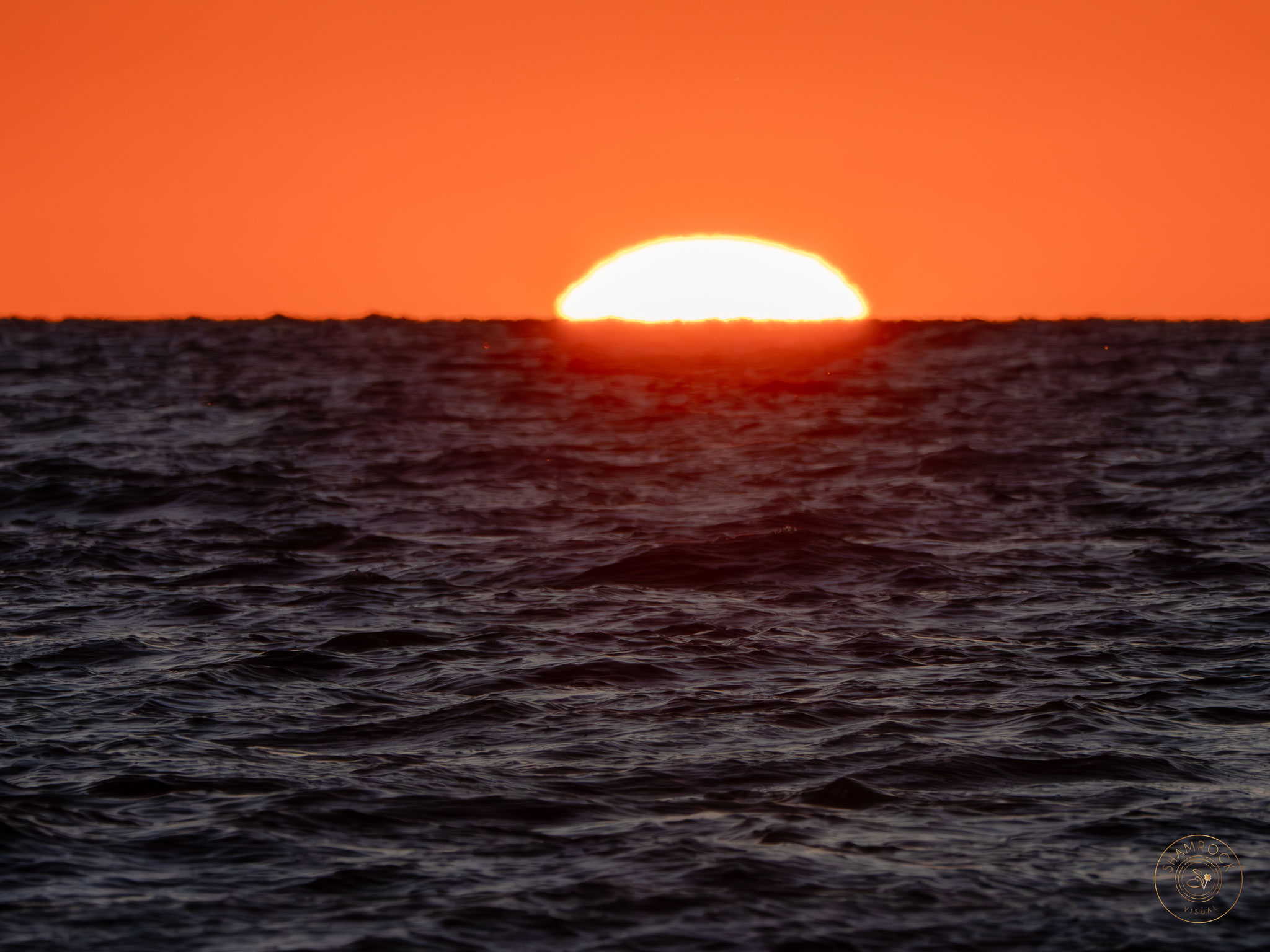 Sunset, Naples, FL  USA