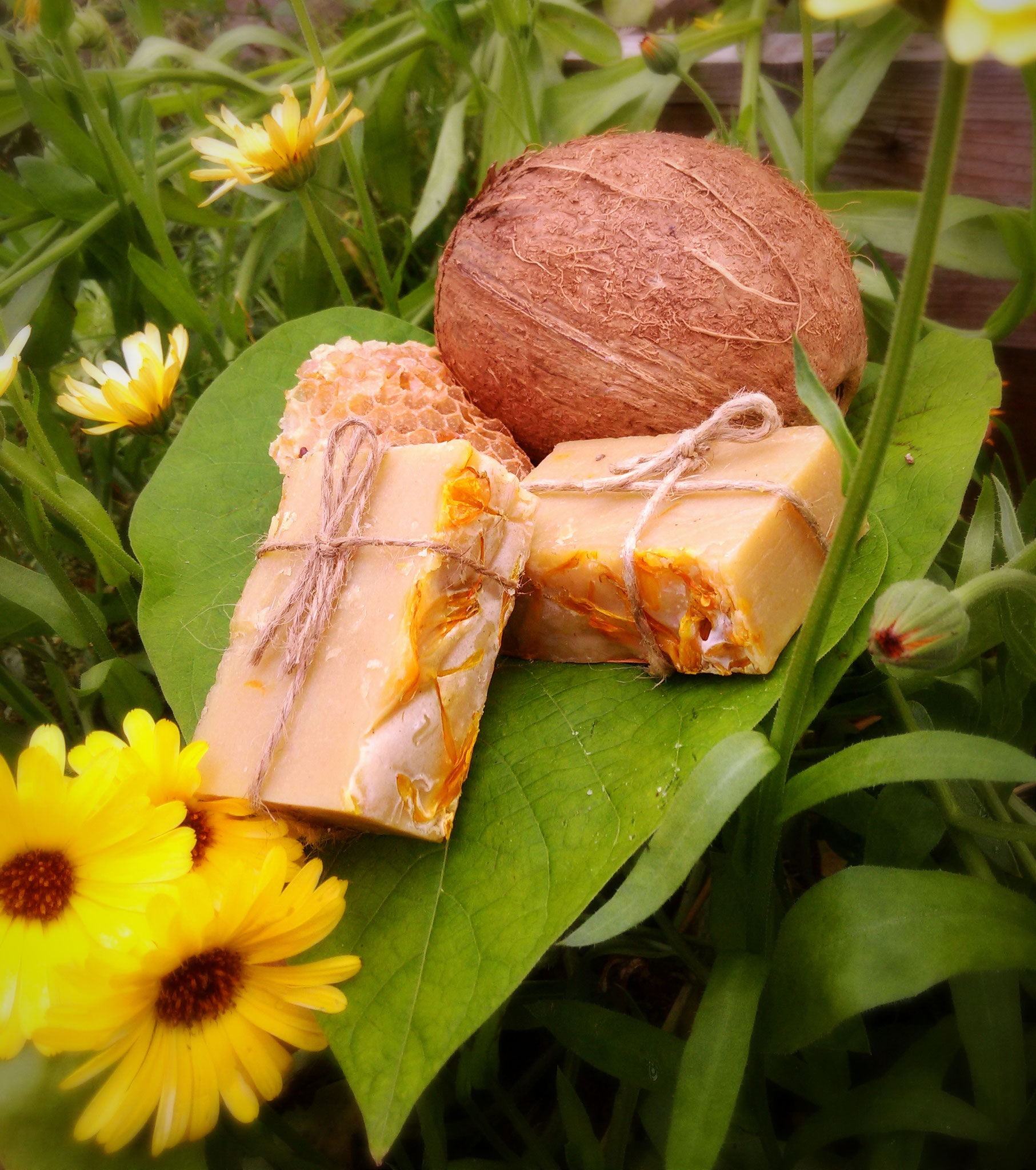 Calendula Bodysoap 