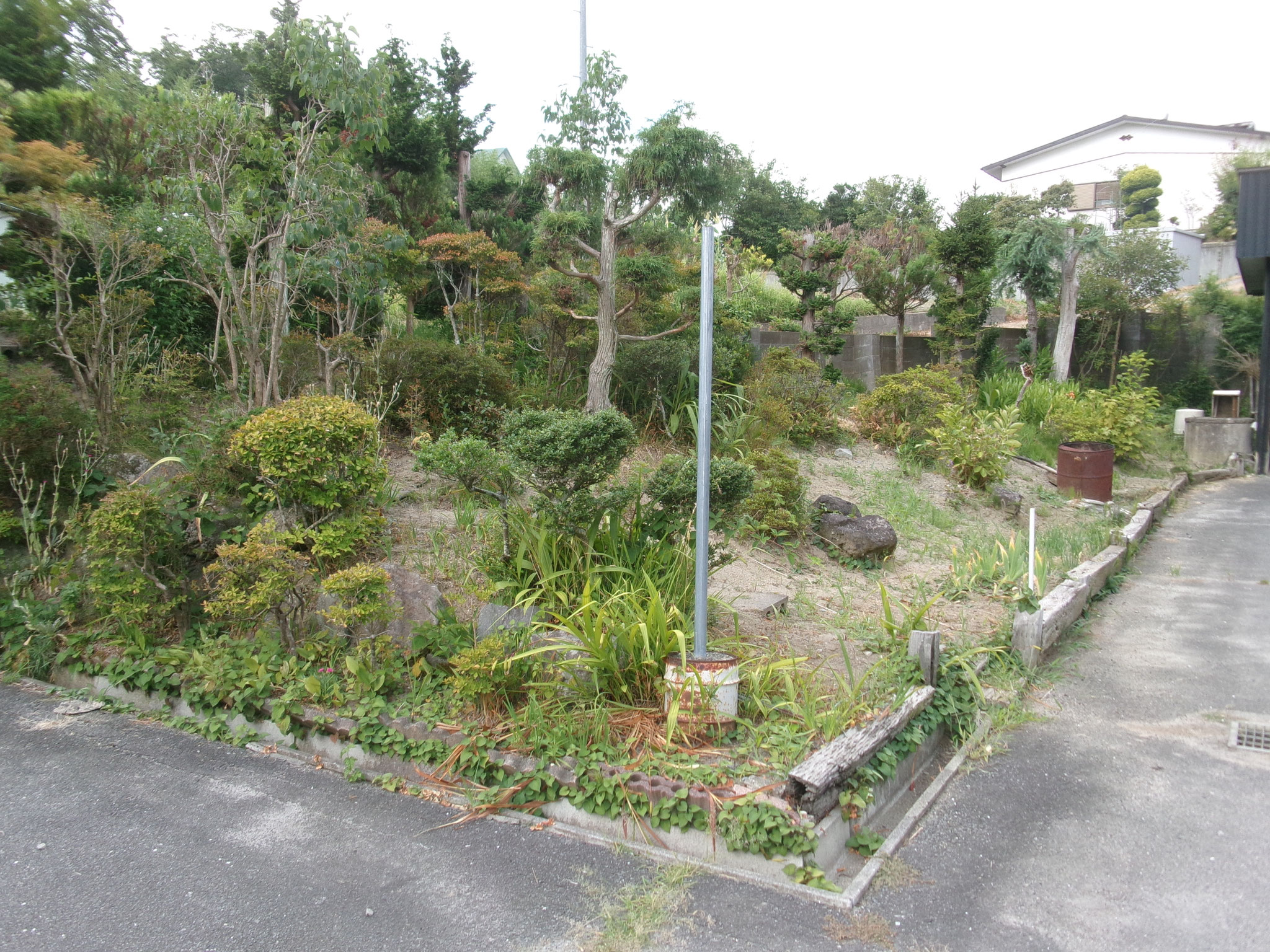 Before 登米市迫町
