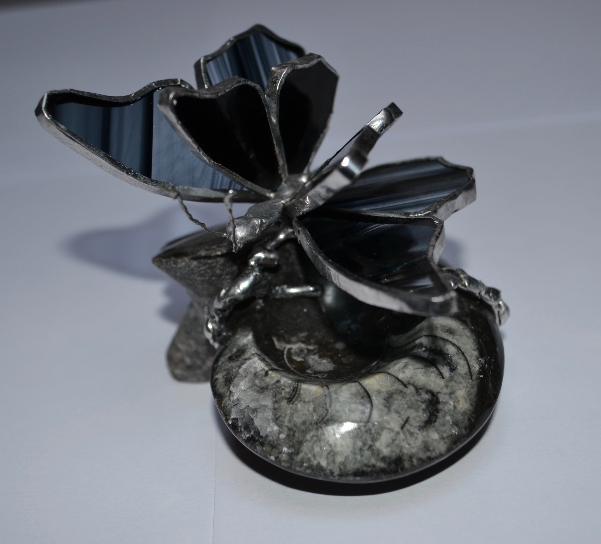 Papillon en Tiffany sur fossile