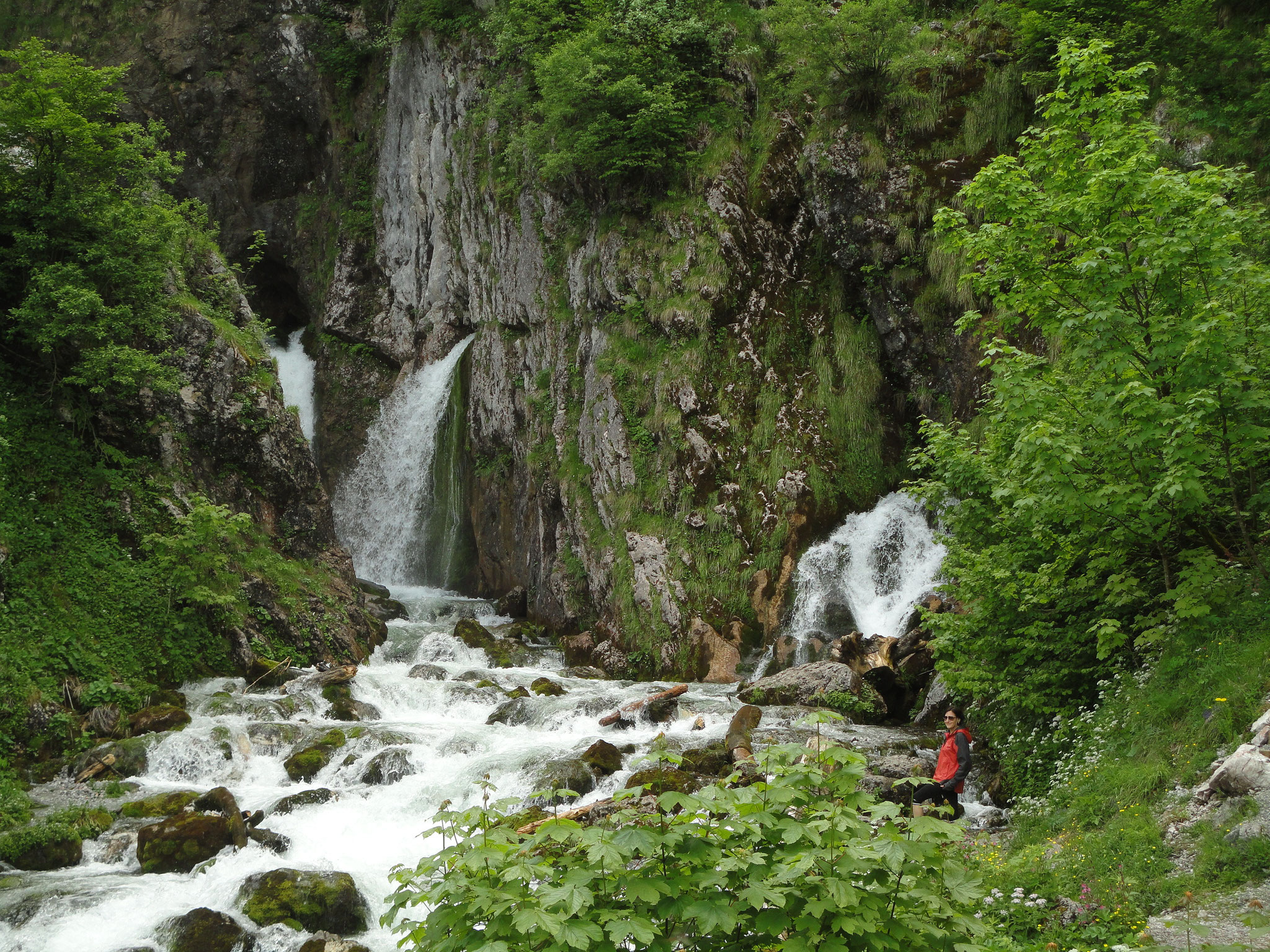 Dachserfall in Abtenau