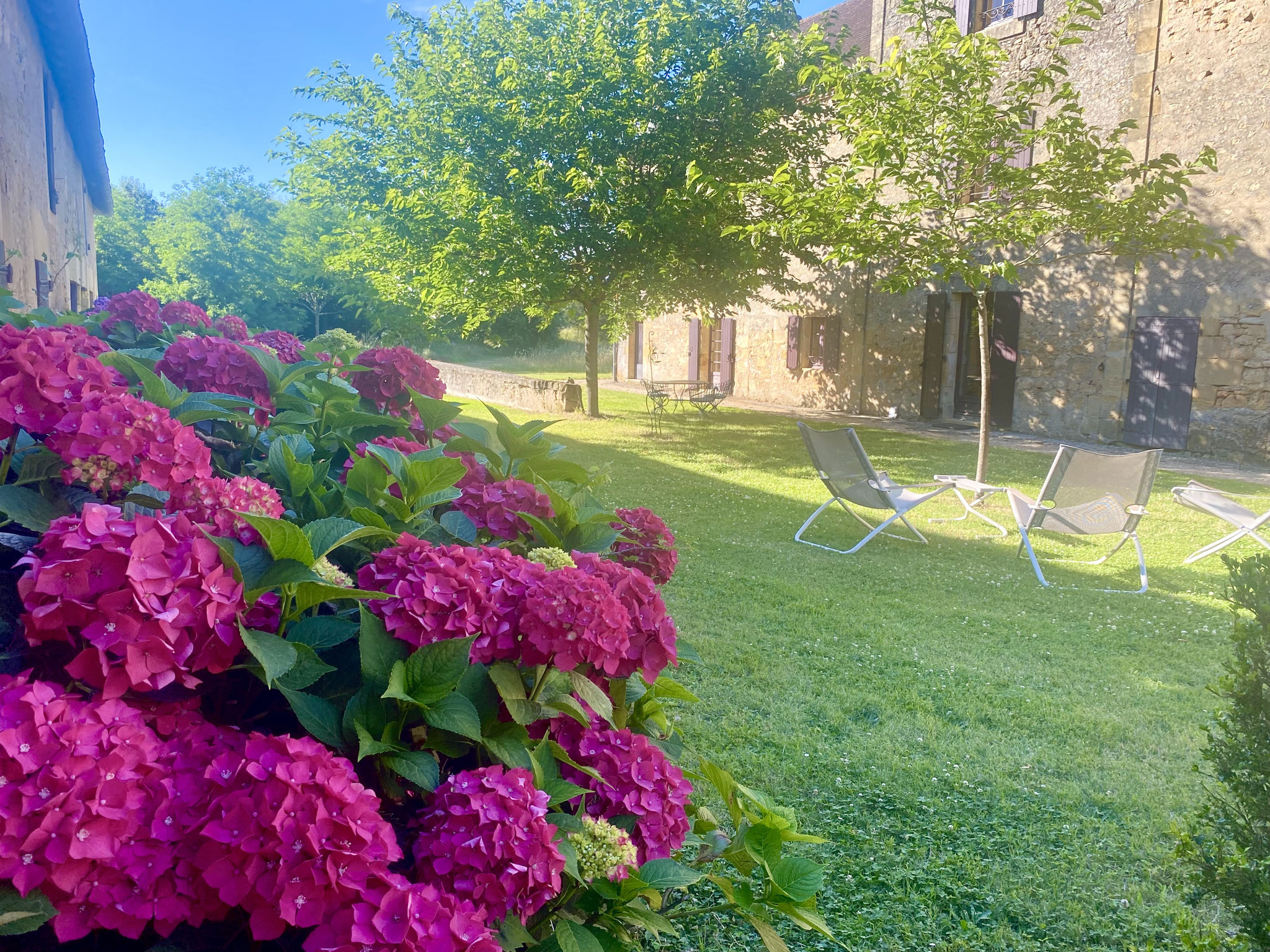 Le jardin-The garden with the flowers 