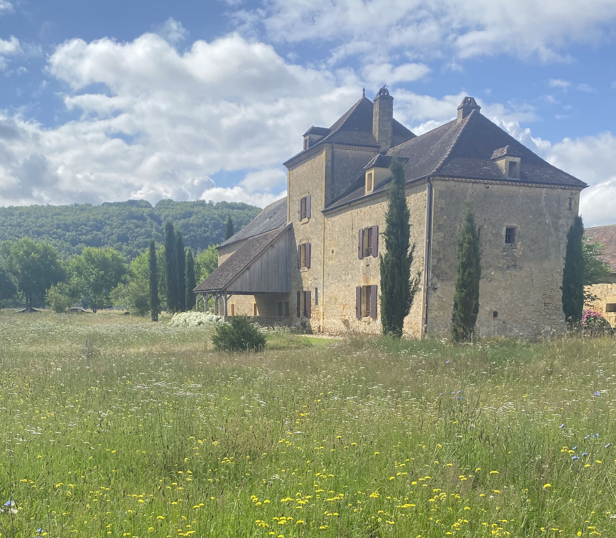 La maison-the house like a castel 