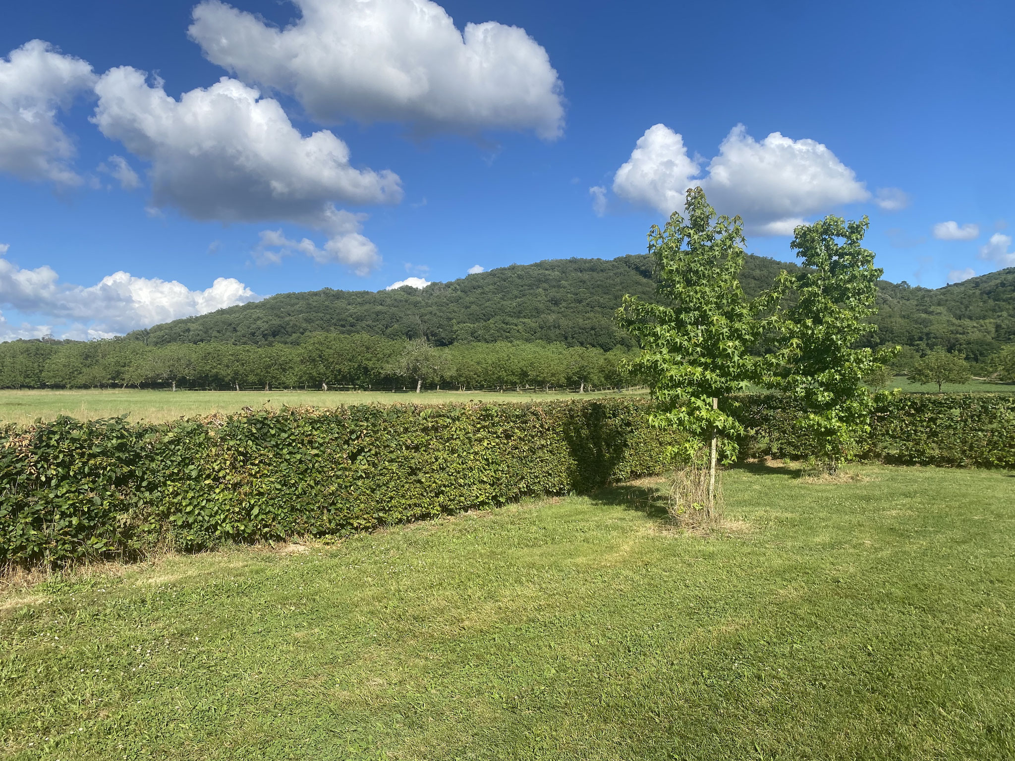 Le jardin privatif-the private garden 