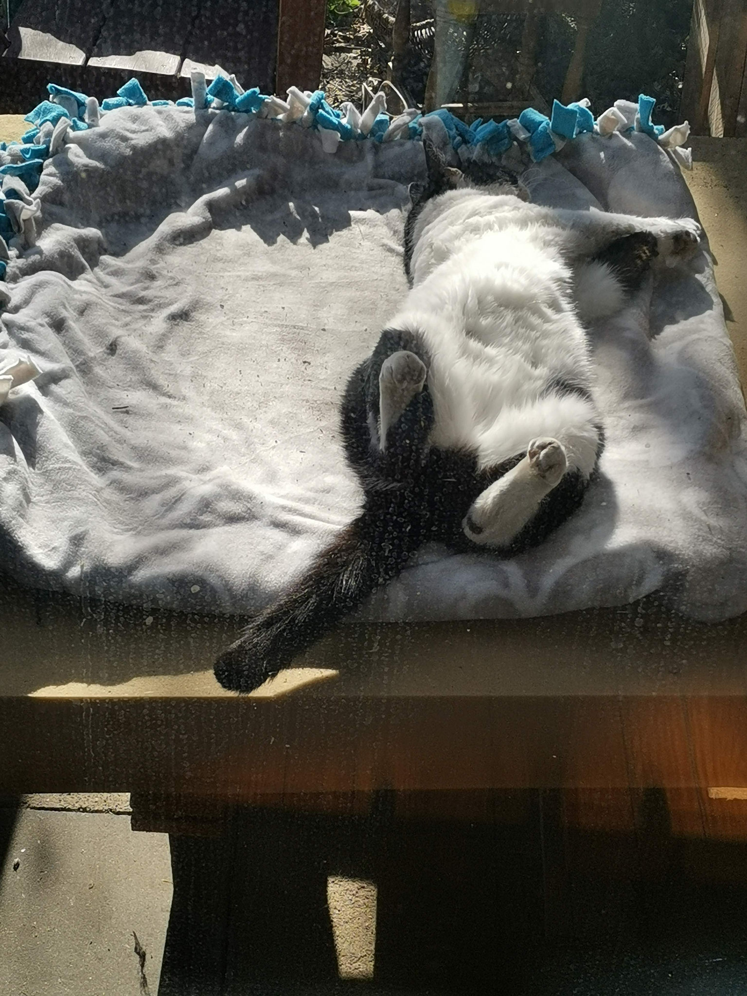 Kulle auf der Terrasse: Sonne auf den Bauch, Kuscheldecke am Rücken.