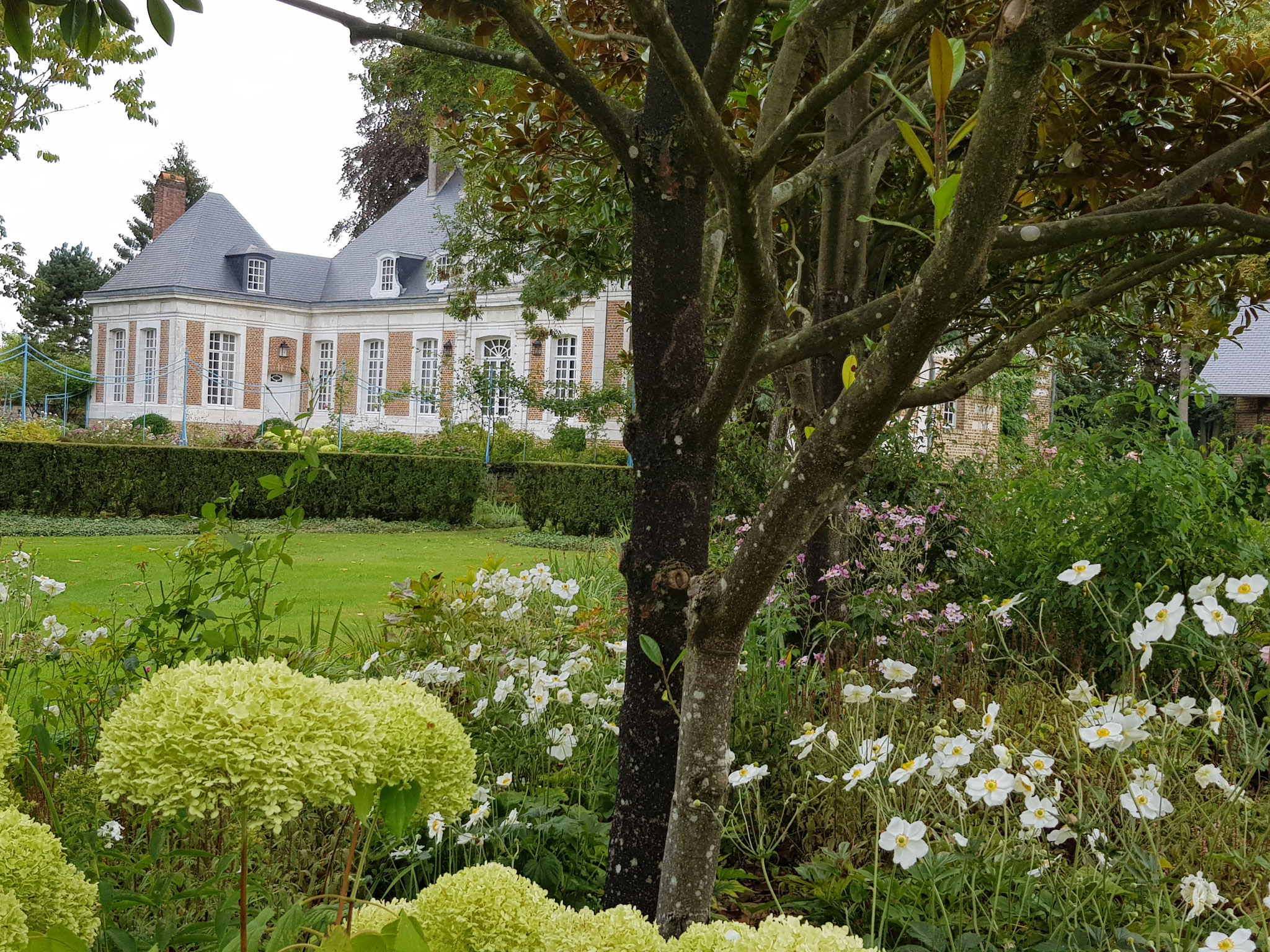 Maizicourt "3 Fleurs"