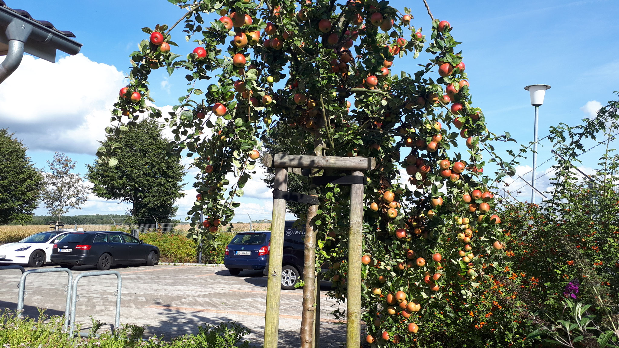 Über uns Semeda Orthopädische Produkte