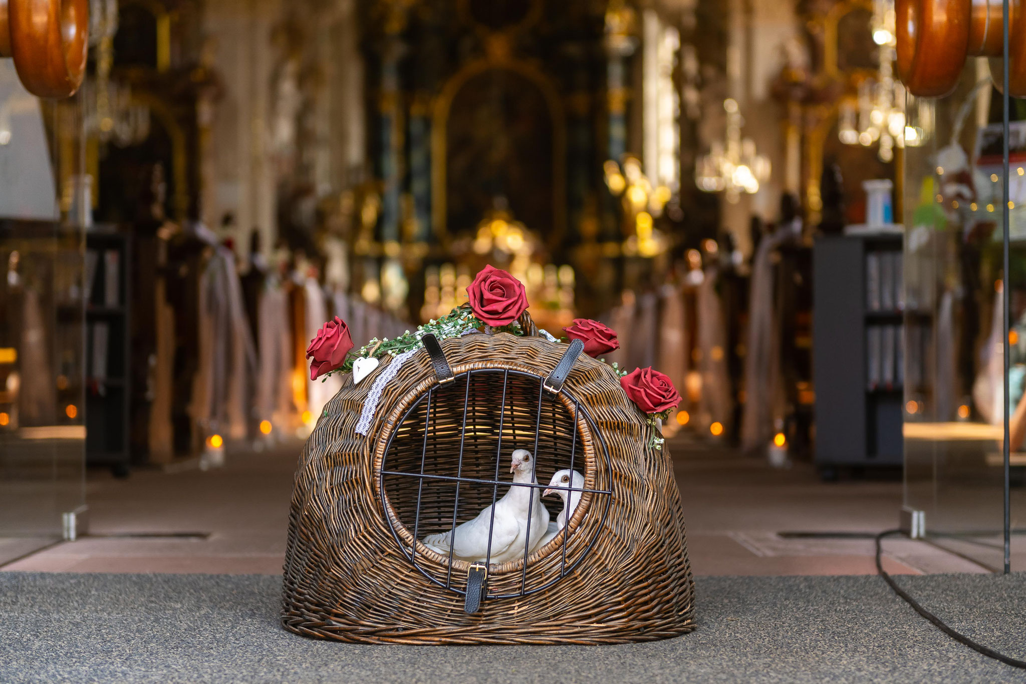 Tauben zum Hochzeitstag Tolle Aufnahmen für Foto und Video