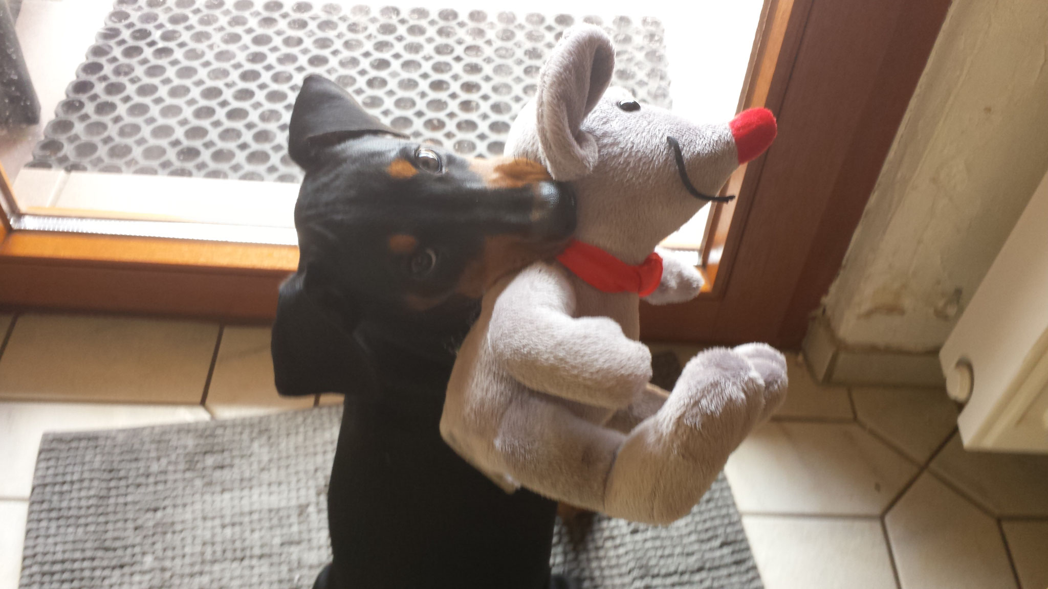 Die Maus ist erledigt