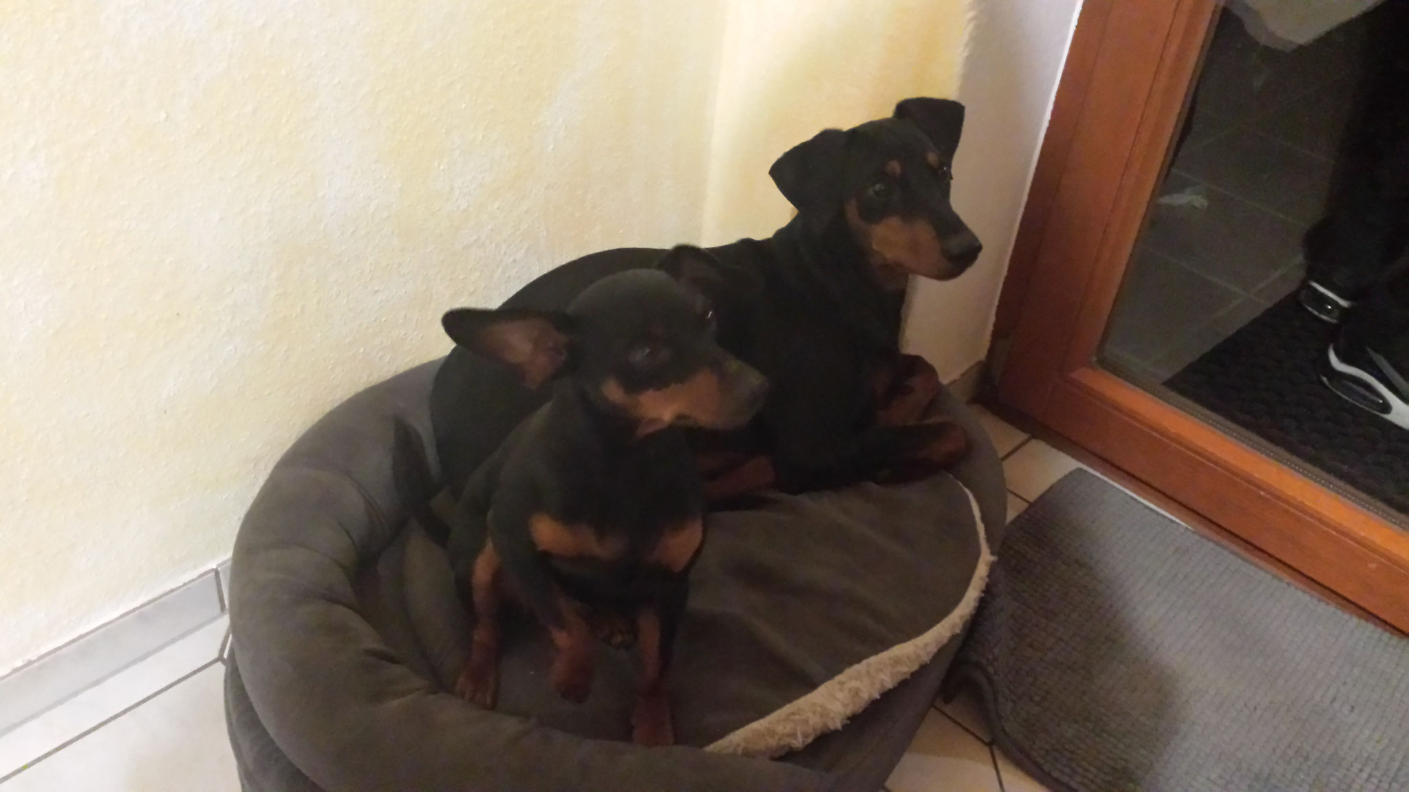 Fee und Sunny