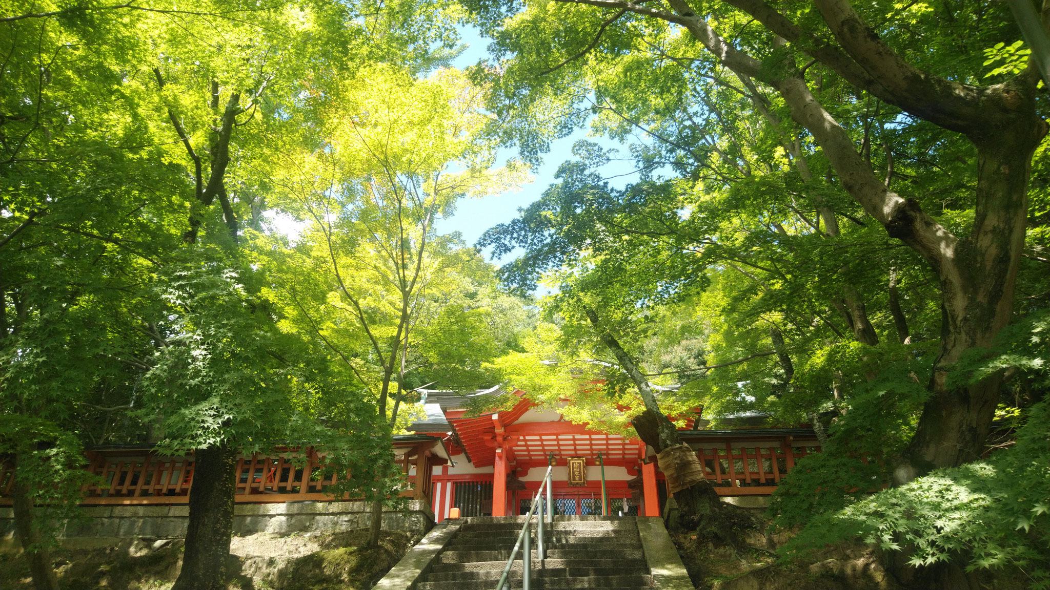 瑜伽神社