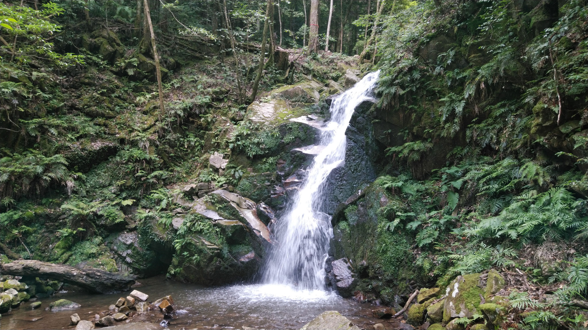 鶯の滝