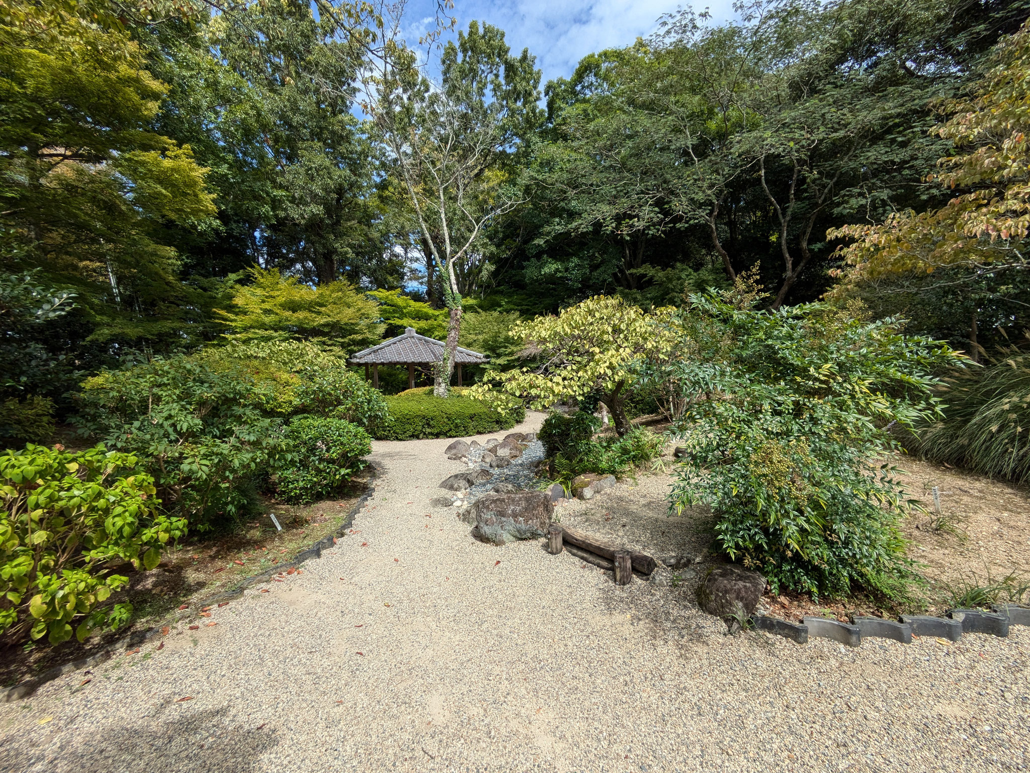 茶花の庭
