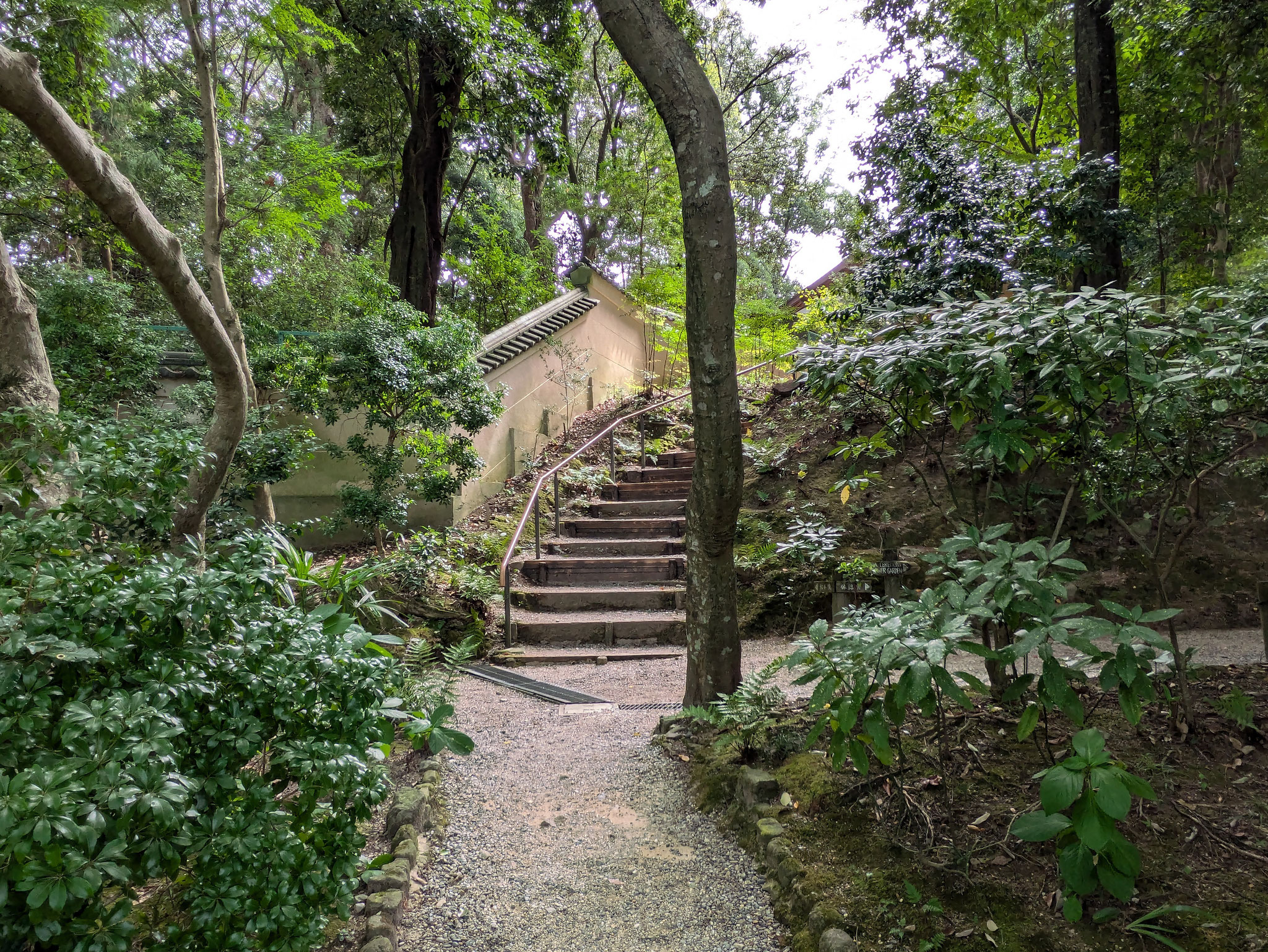 茶花の庭への階段