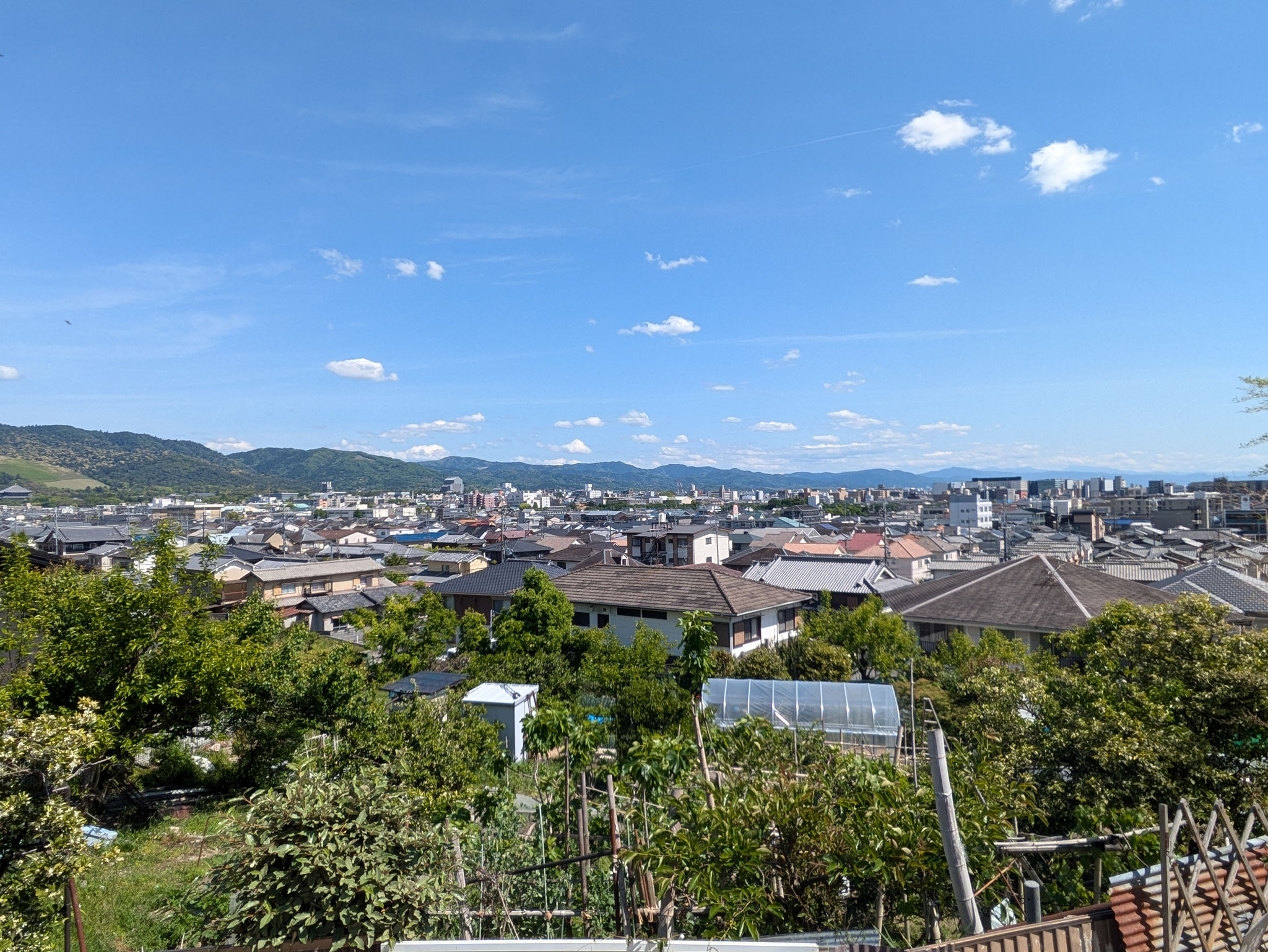 奈良市街一望
