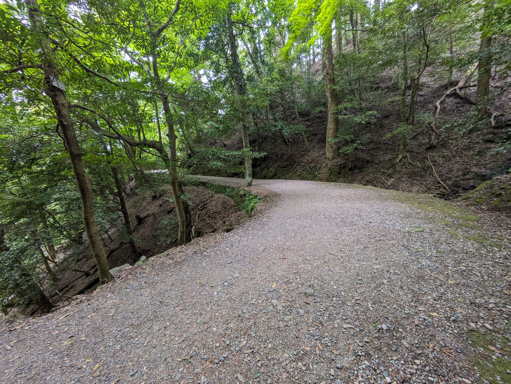 春日山遊歩道の様子