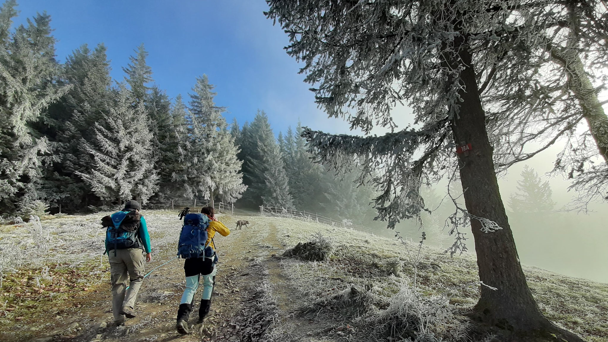 Walk and Talk Murnau Persönlichkeitsentwicklung Coaching