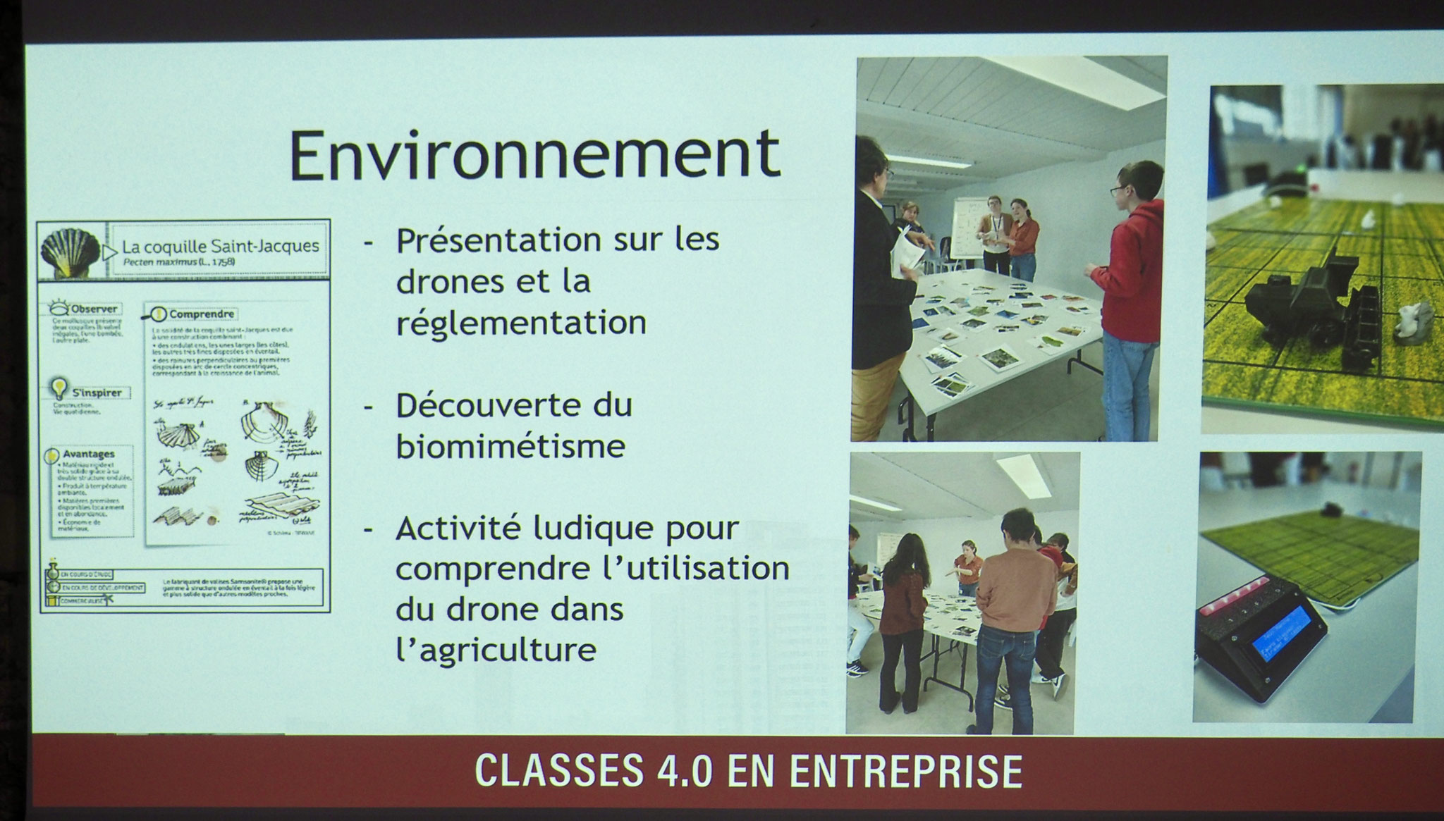 Aperçu du contenu des activités proposées