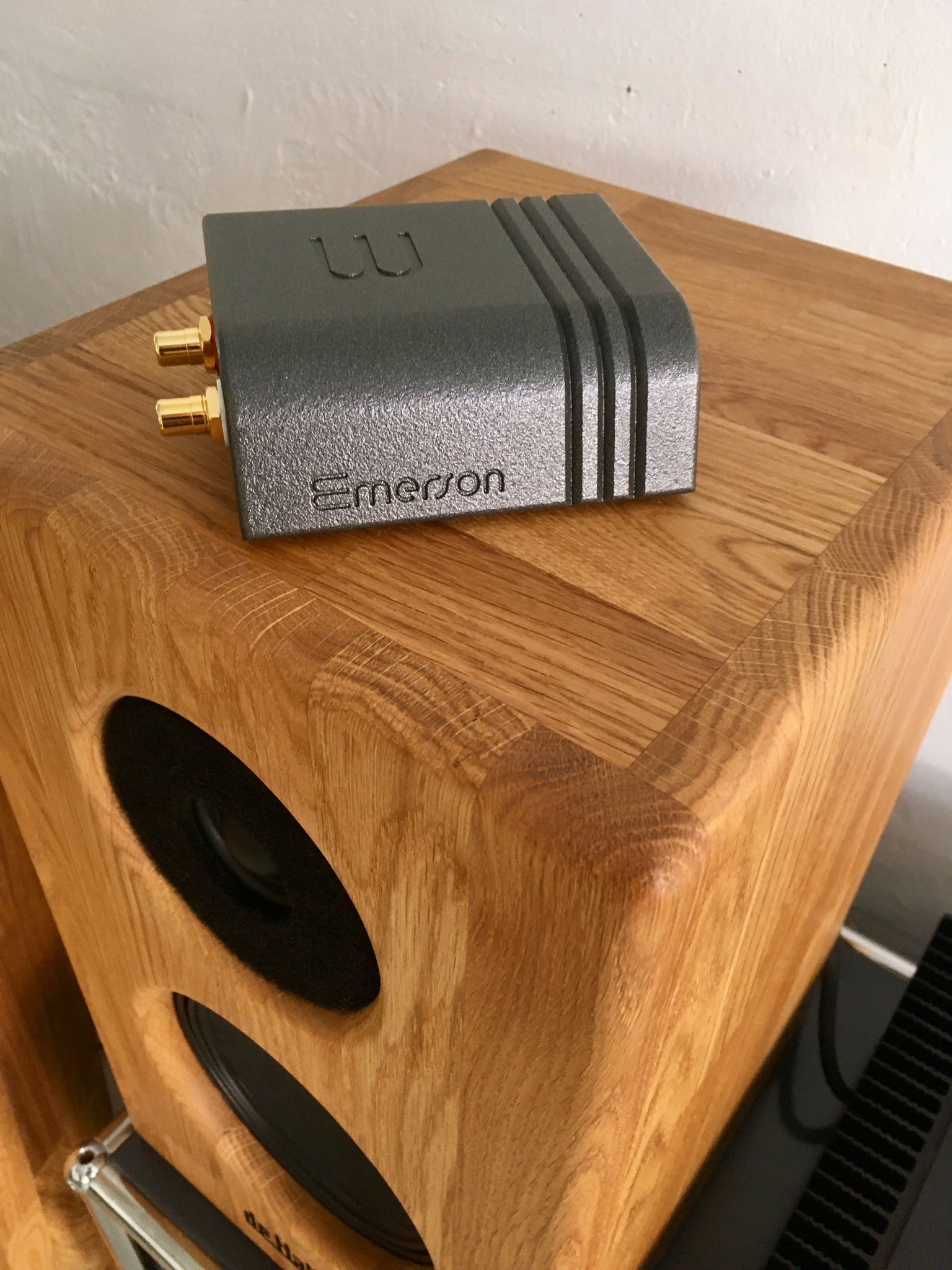 Streamer audio Wattson Audio Emerson Analog - Enceinte acoustique De Haller Dina 6