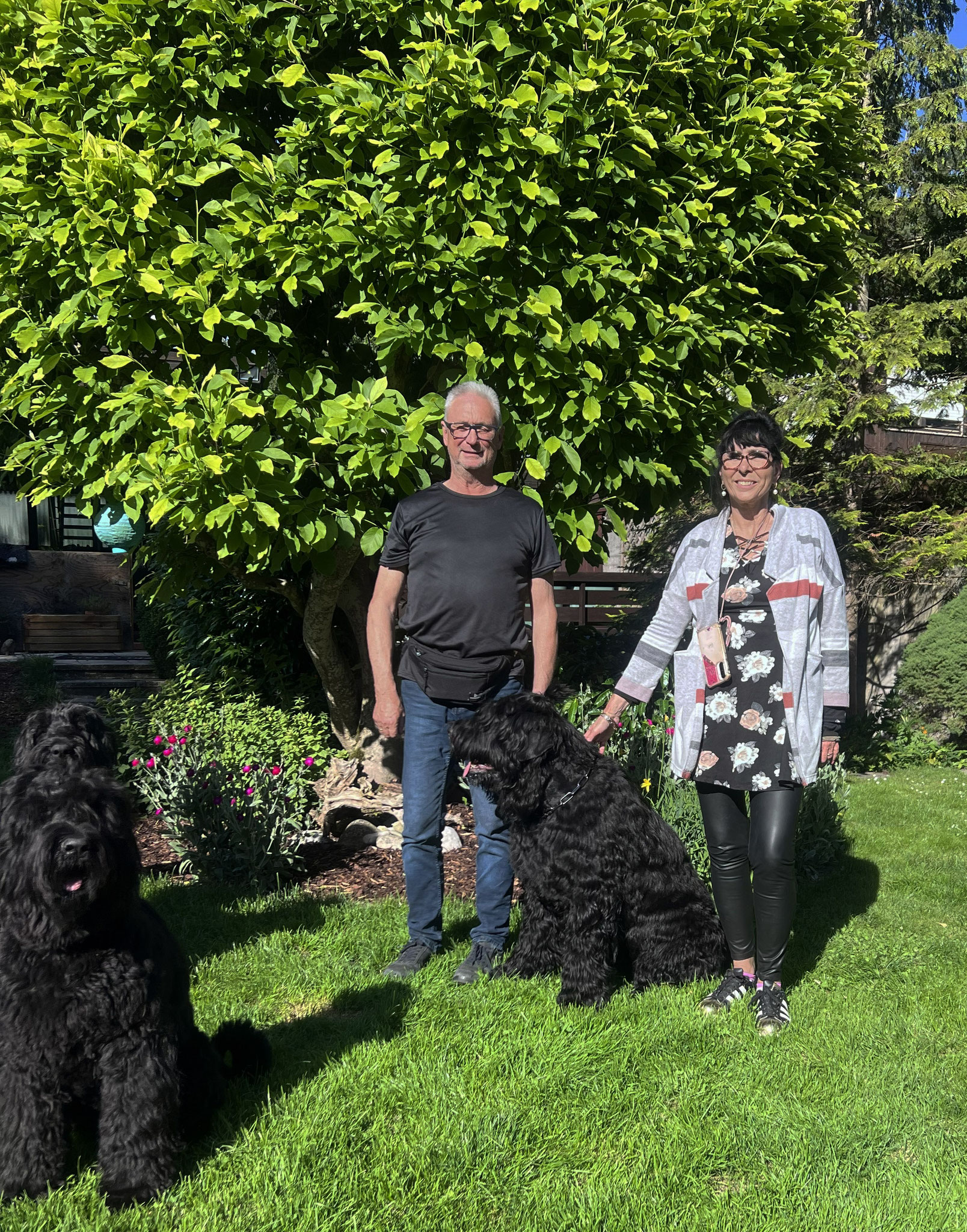 Stolze Hunde-Bären-Eltern